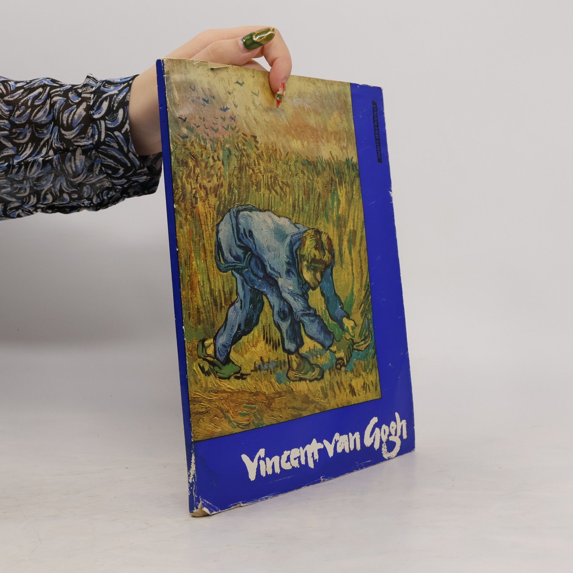 Kuno Mittelstädt Vincent van Gogh : 14 farbige Gemäldereproduktionen, 2 einfarbige Tafeln