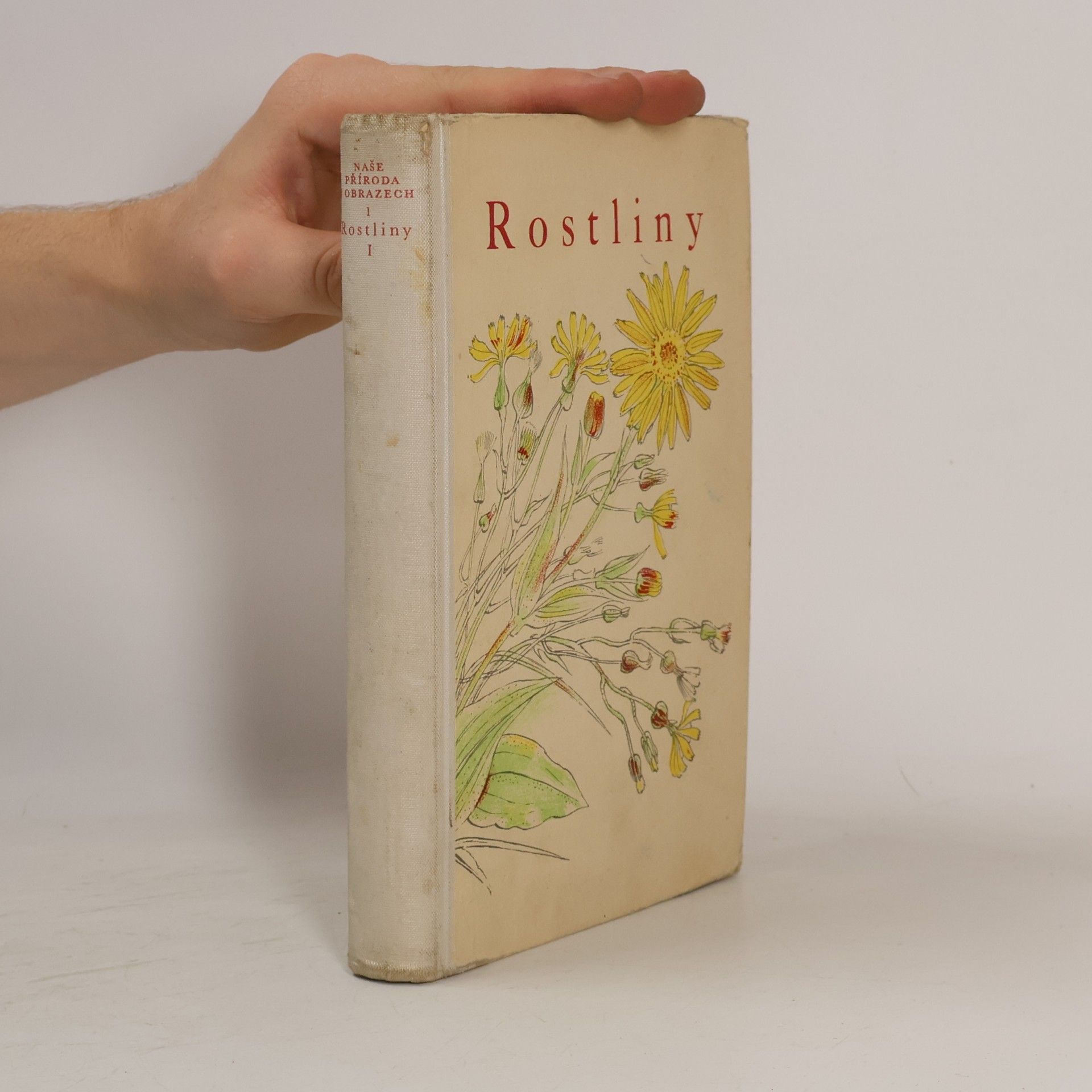 Karel Svolinský Rostliny 1