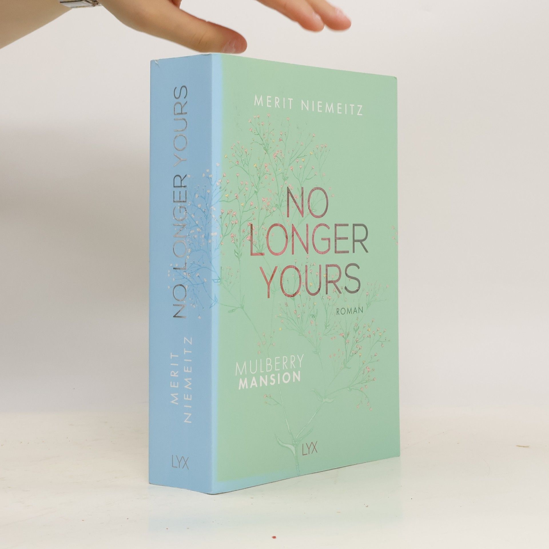 Merit Niemeitz No Longer Yours