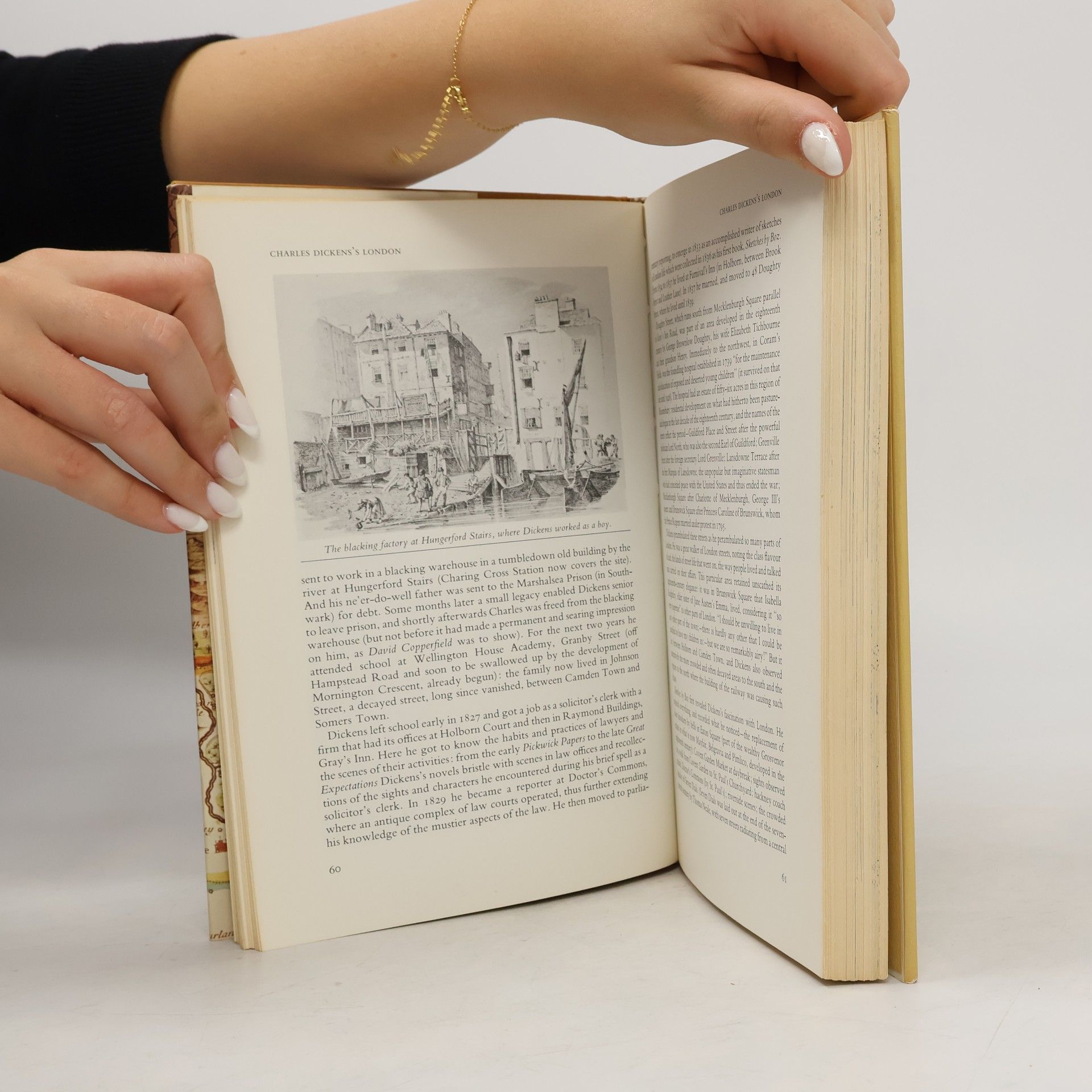 David Daiches Literary Landscapes of The British Isles
