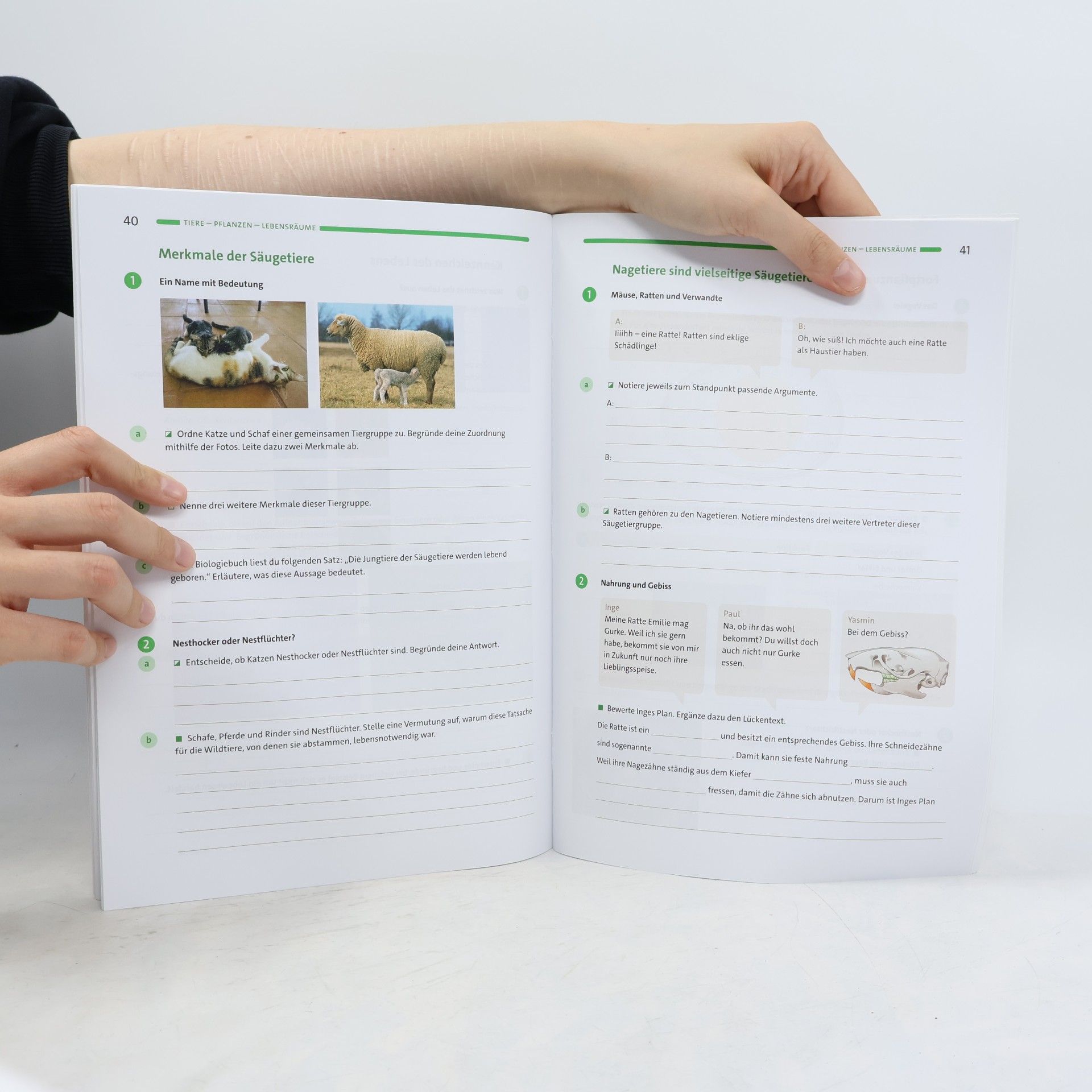 Adria Wehser Natur und Technik, Naturwissenschaften