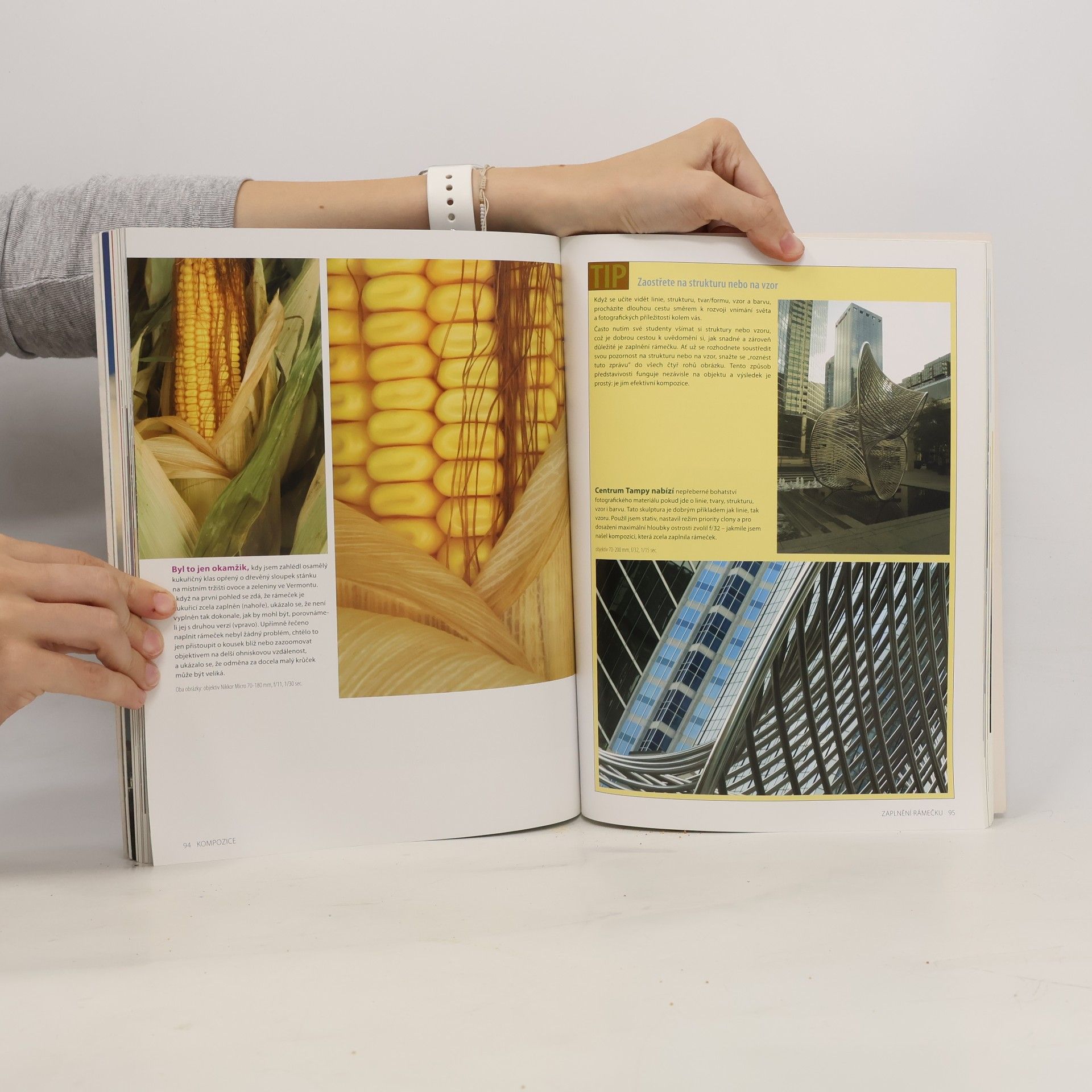 Bryan Peterson Naučte se fotografovat digitálně : Naučte se pořizovat skvělé snímky digitálním aparátem