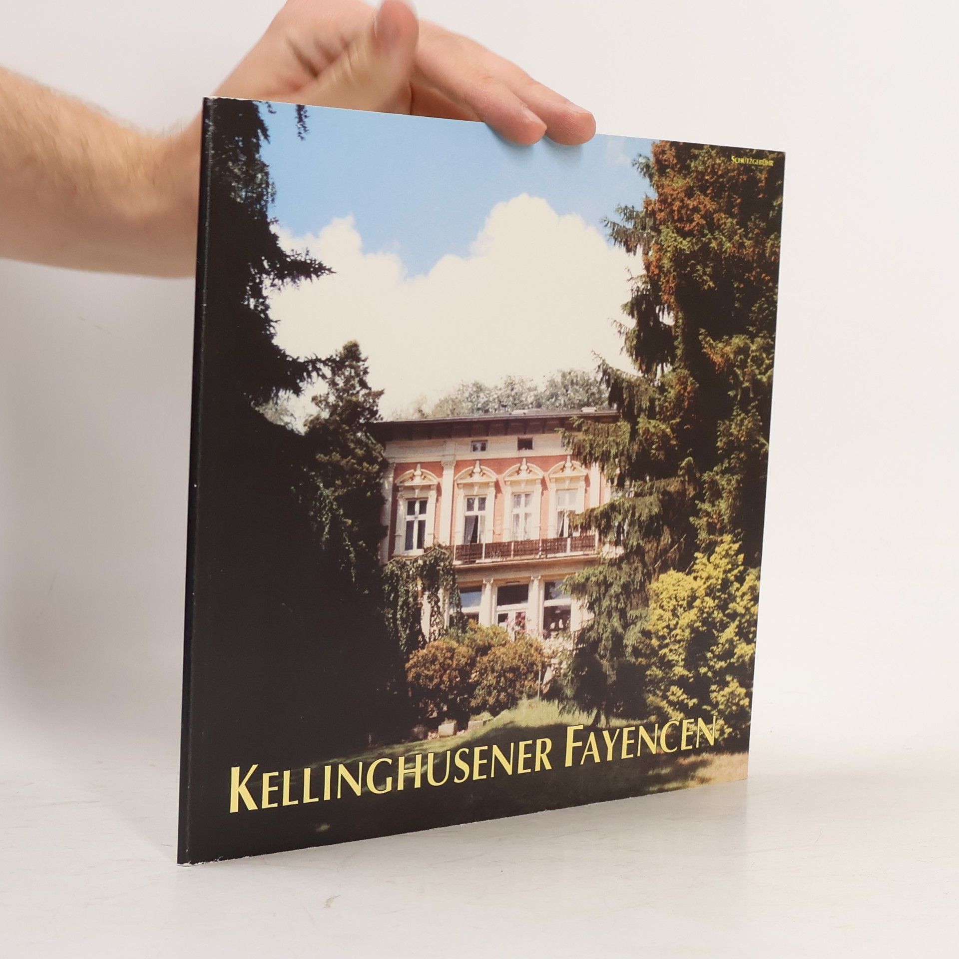Kellinghusener Fayencen und Keramik