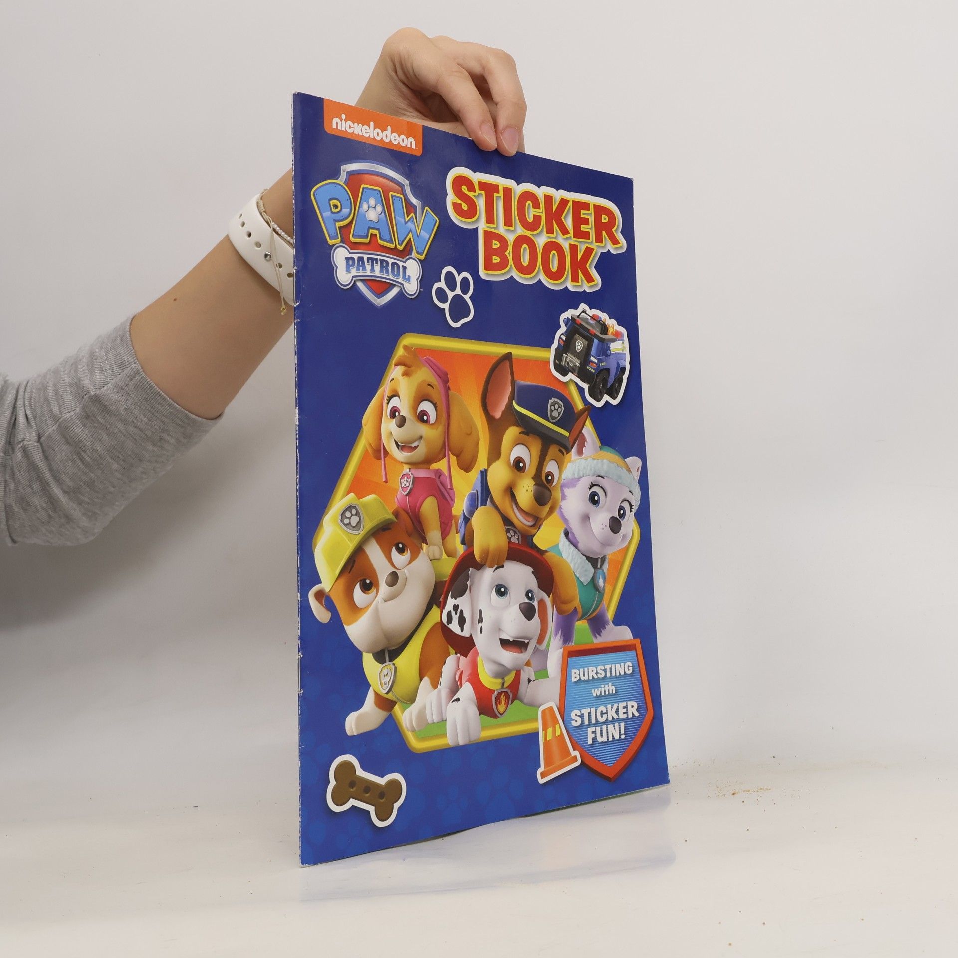 Paw Patrol Sticker Book
