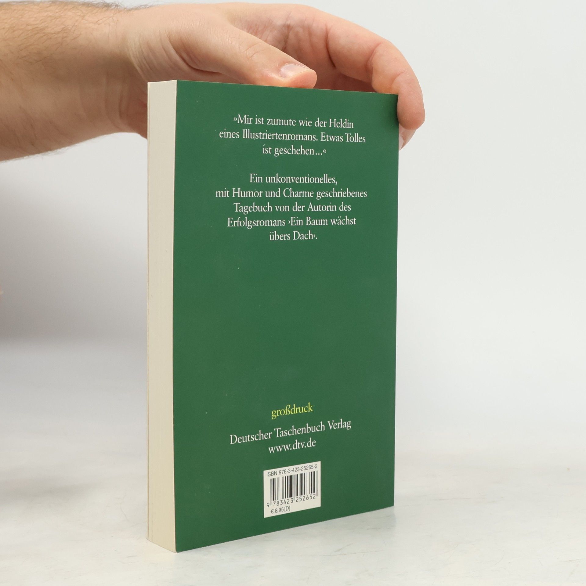 Isabella Peltzer Seehamer Tagebuch