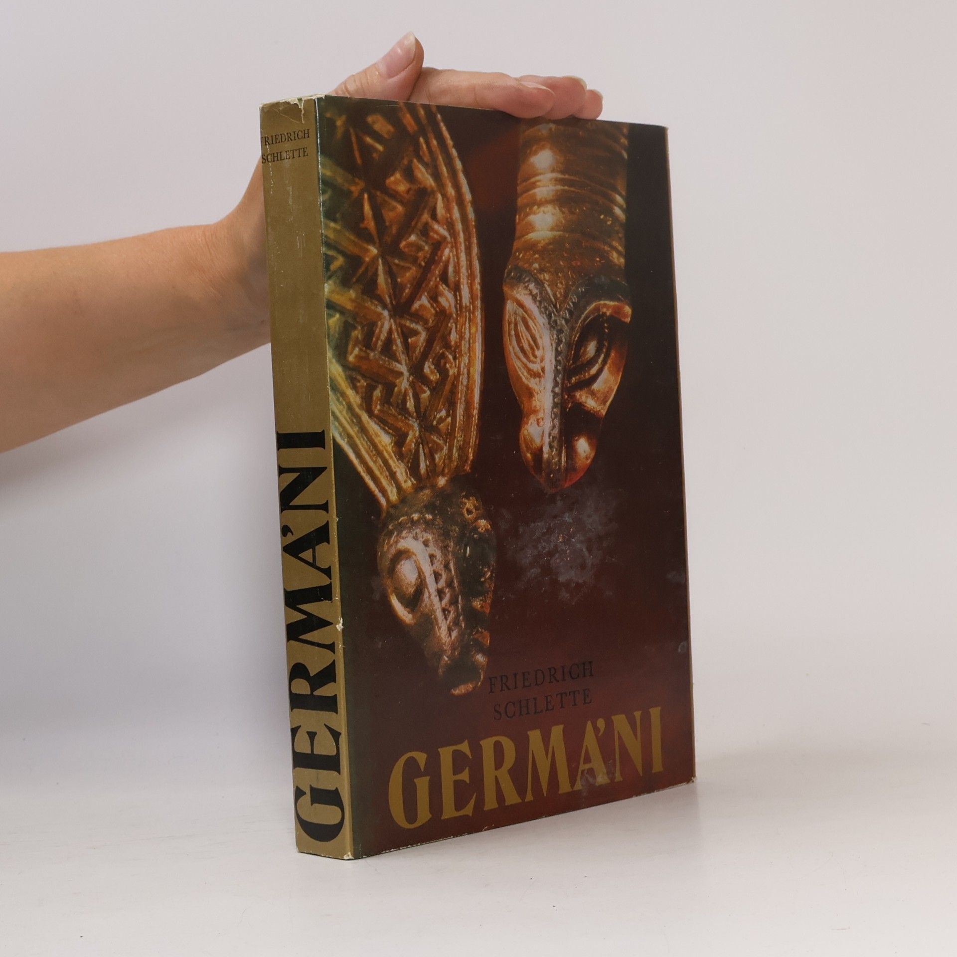 Friedrich Schlette Germáni mezi Thorsbergem a Ravennou