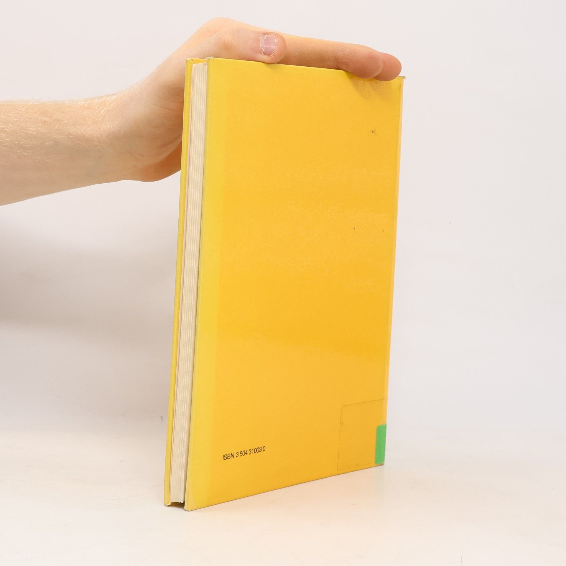 Ulrich Fritsch Das Buch der Börseneinführung - 2. Auflage