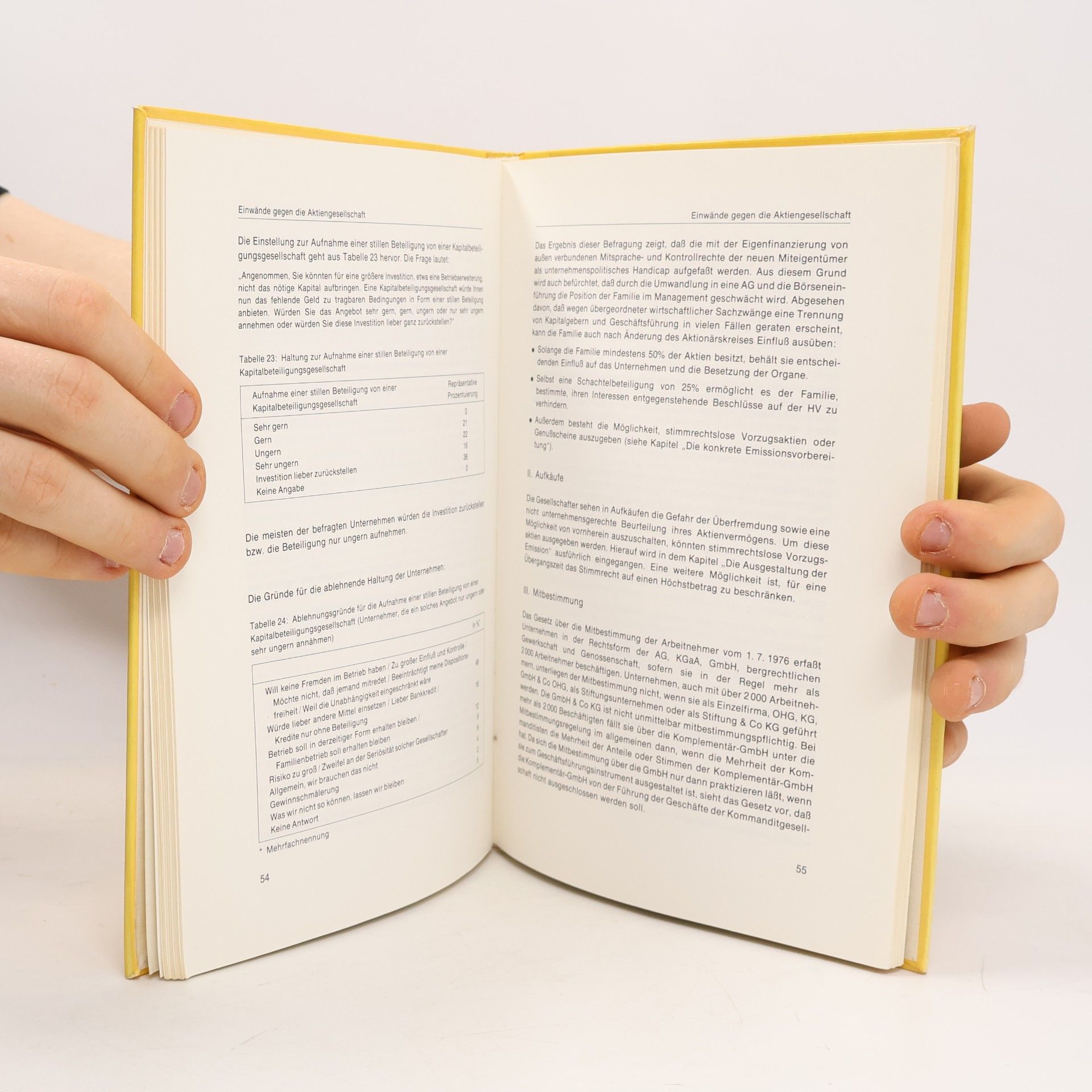 Ulrich Fritsch Das Buch der Börseneinführung - 2. Auflage