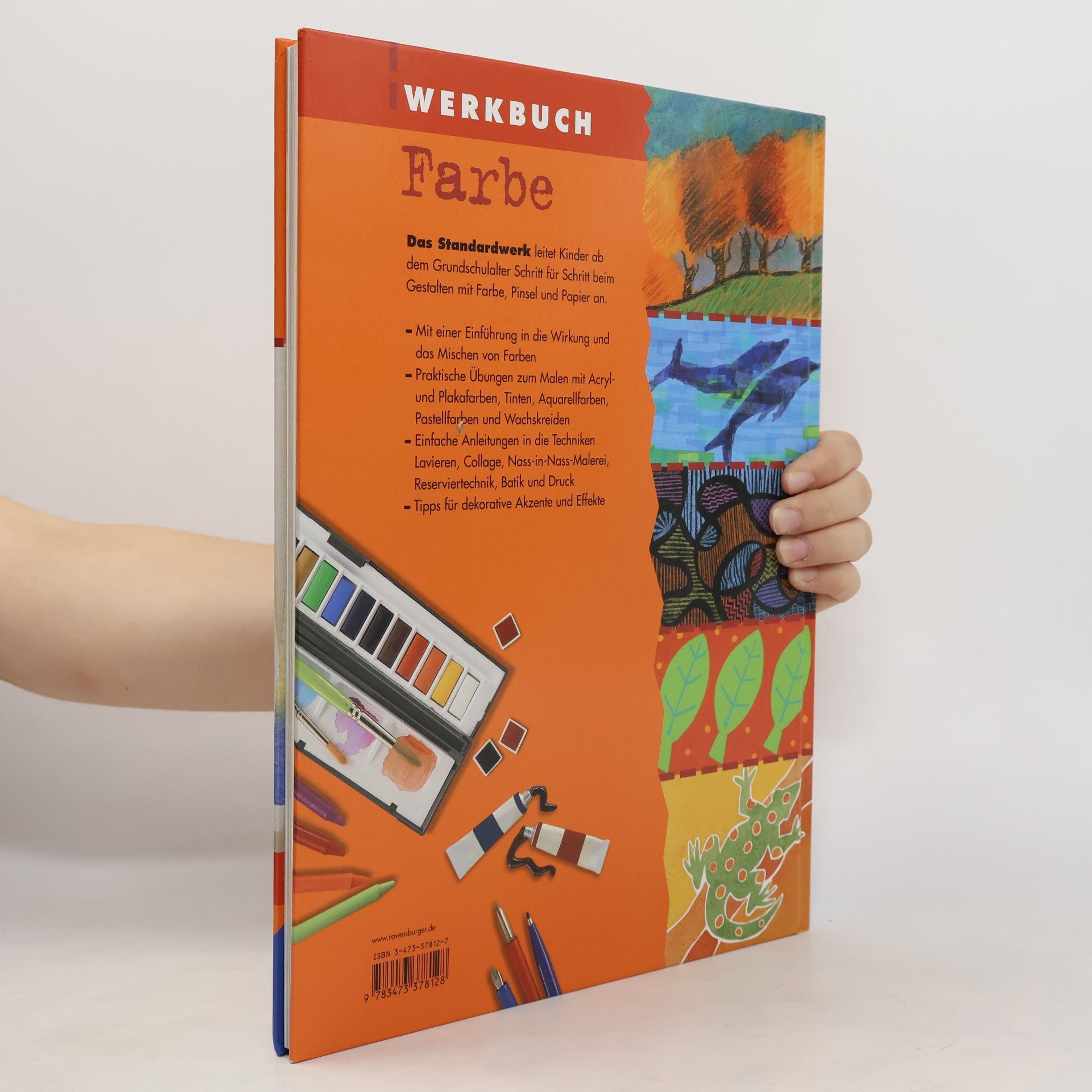 Fiona Watt Werkbuch Farbe