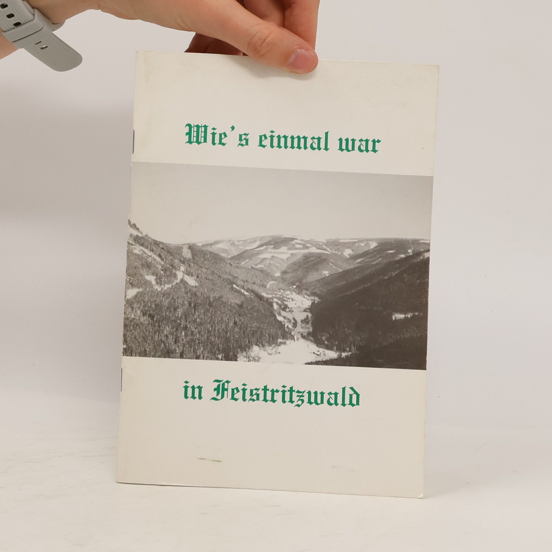 Gustav Zach Wie’s einmal war in Feistritzwald