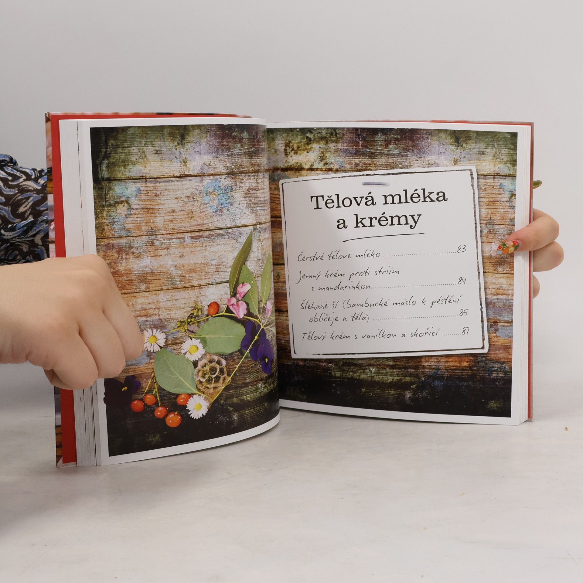 Alena Thomas Děláme si to doma sami