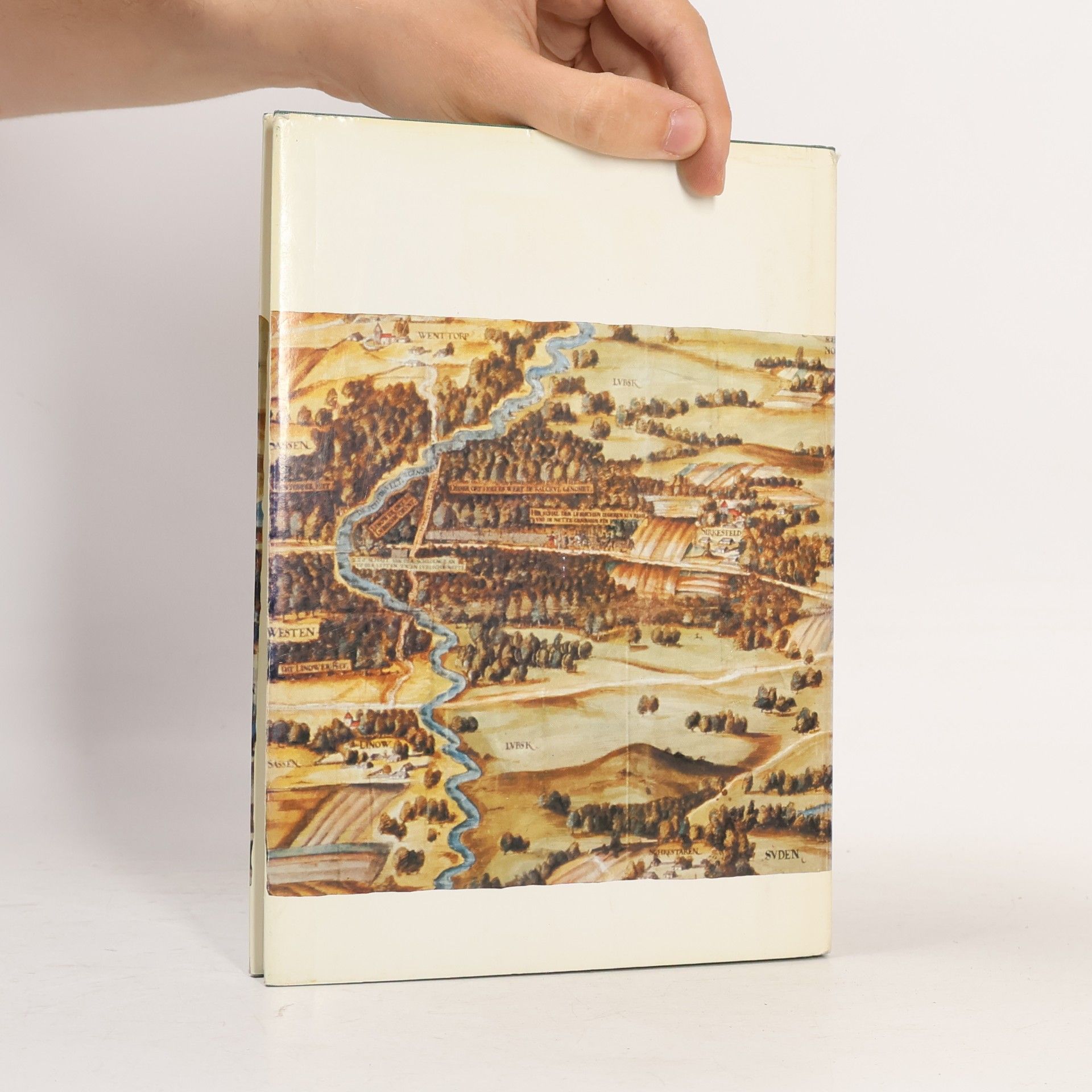 Reimer Witt Die Anfänge von Kartographie und Topographie Schleswig-Holsteins