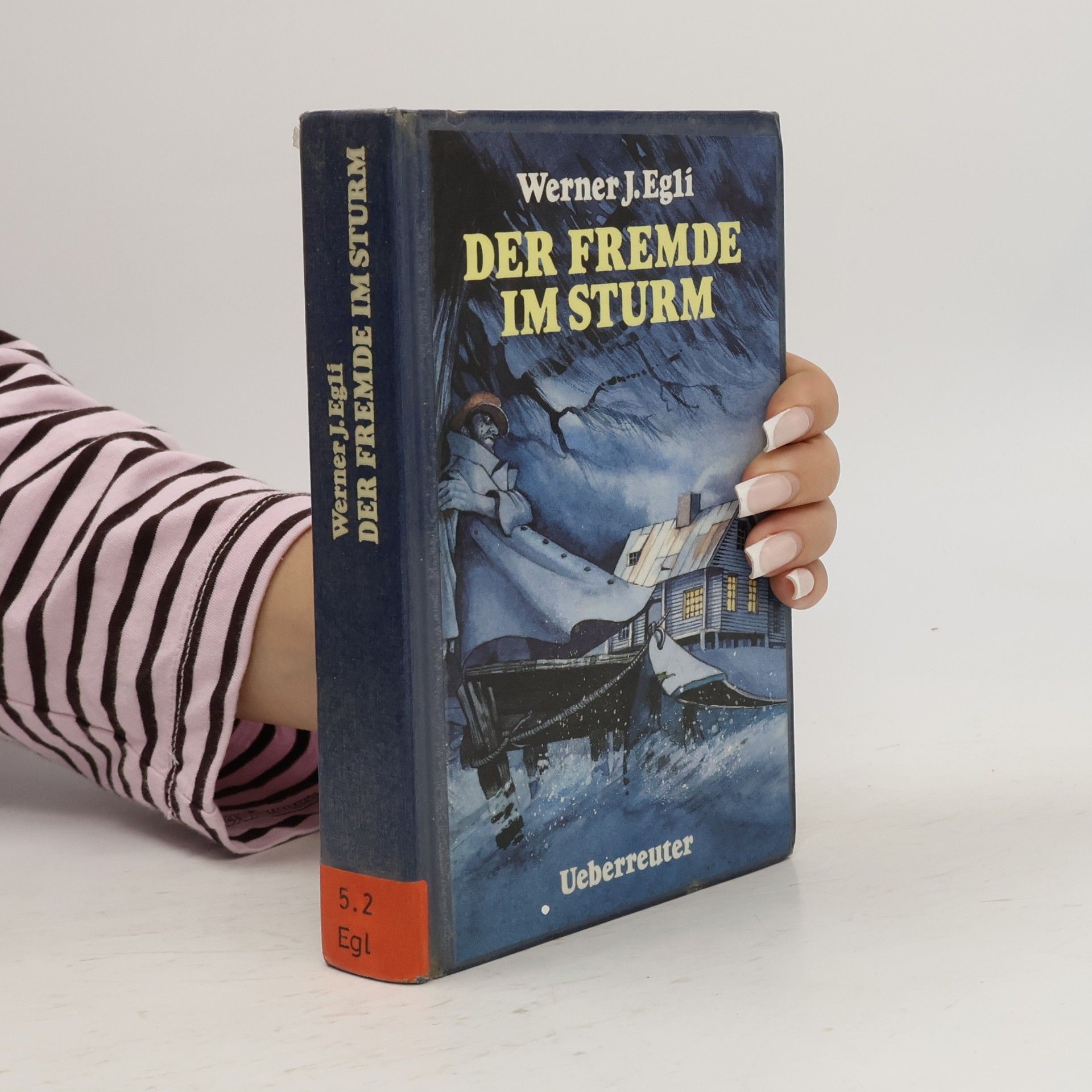 Werner J. Egli Der Fremde im Sturm