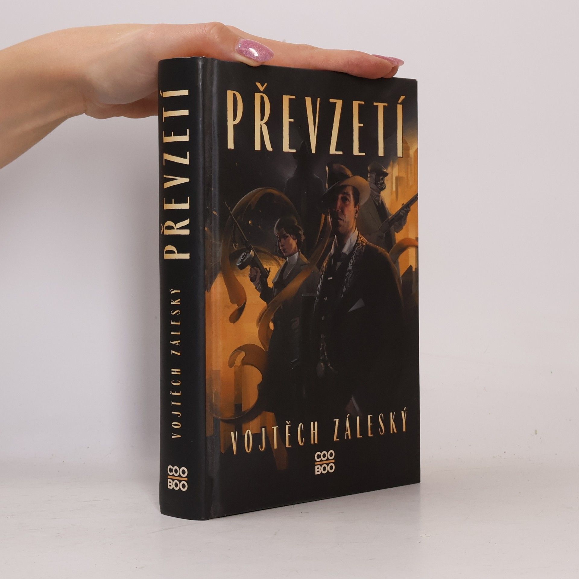 Vojtěch Záleský Převzetí