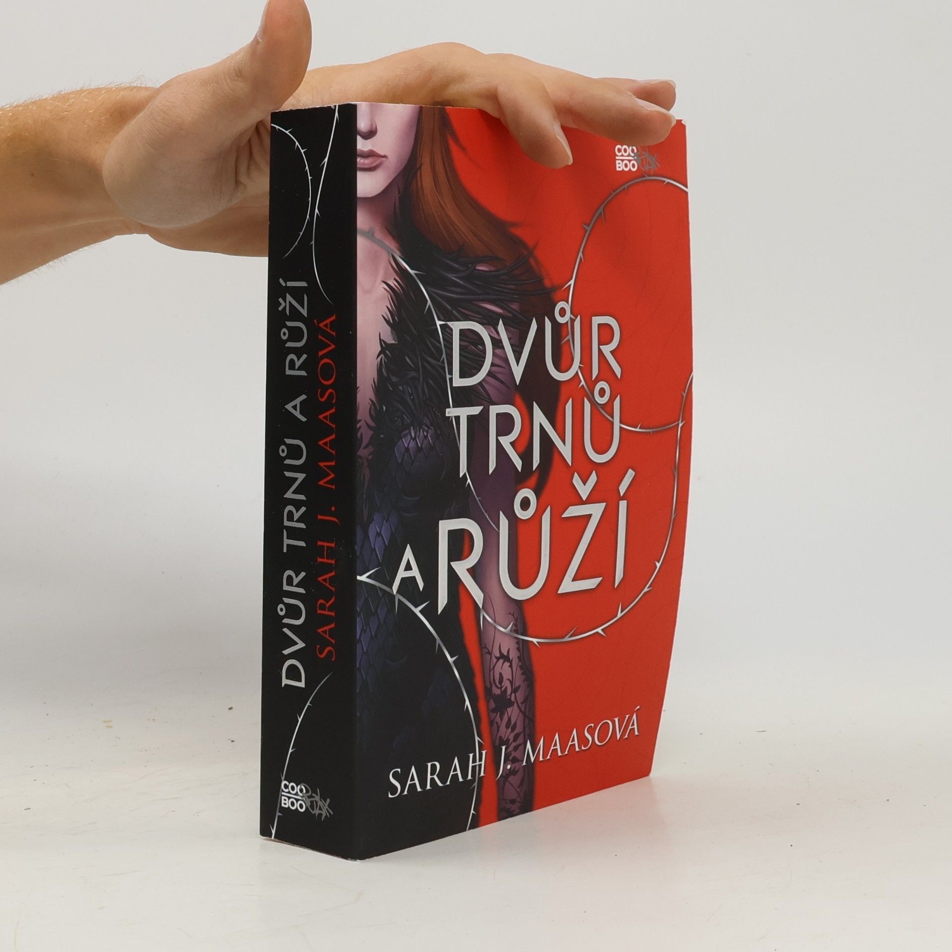 Sarah J. Maas Dvůr trnů a růží
