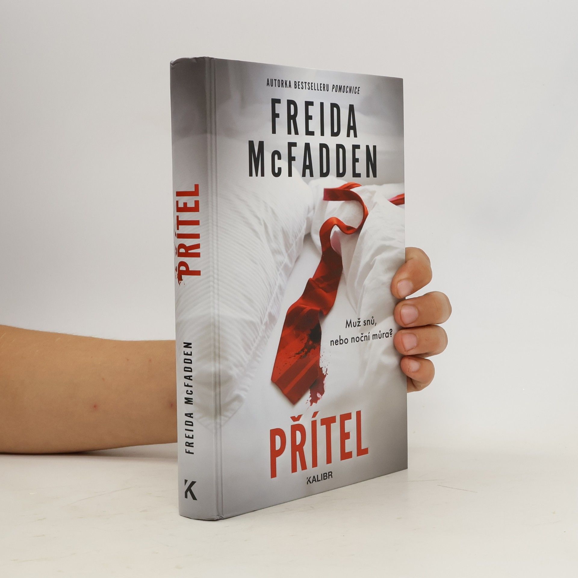 Freida McFadden Přítel