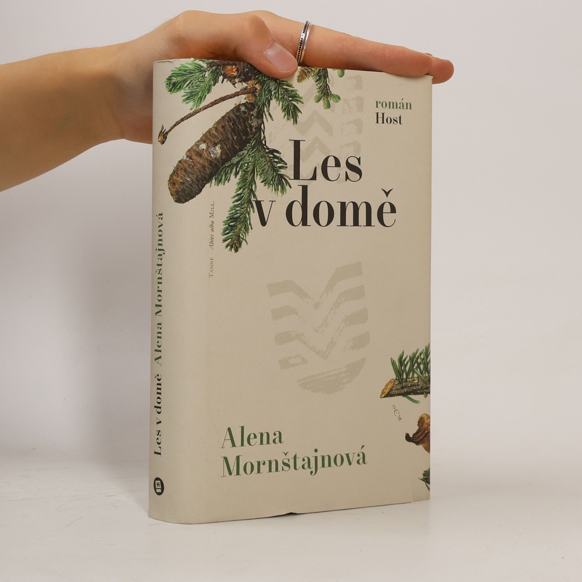Alena Mornštajnová Les v domě
