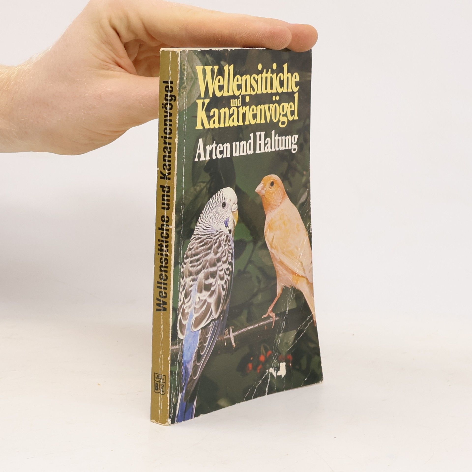 kolektiv Wellensittiche und Kanarienvögel