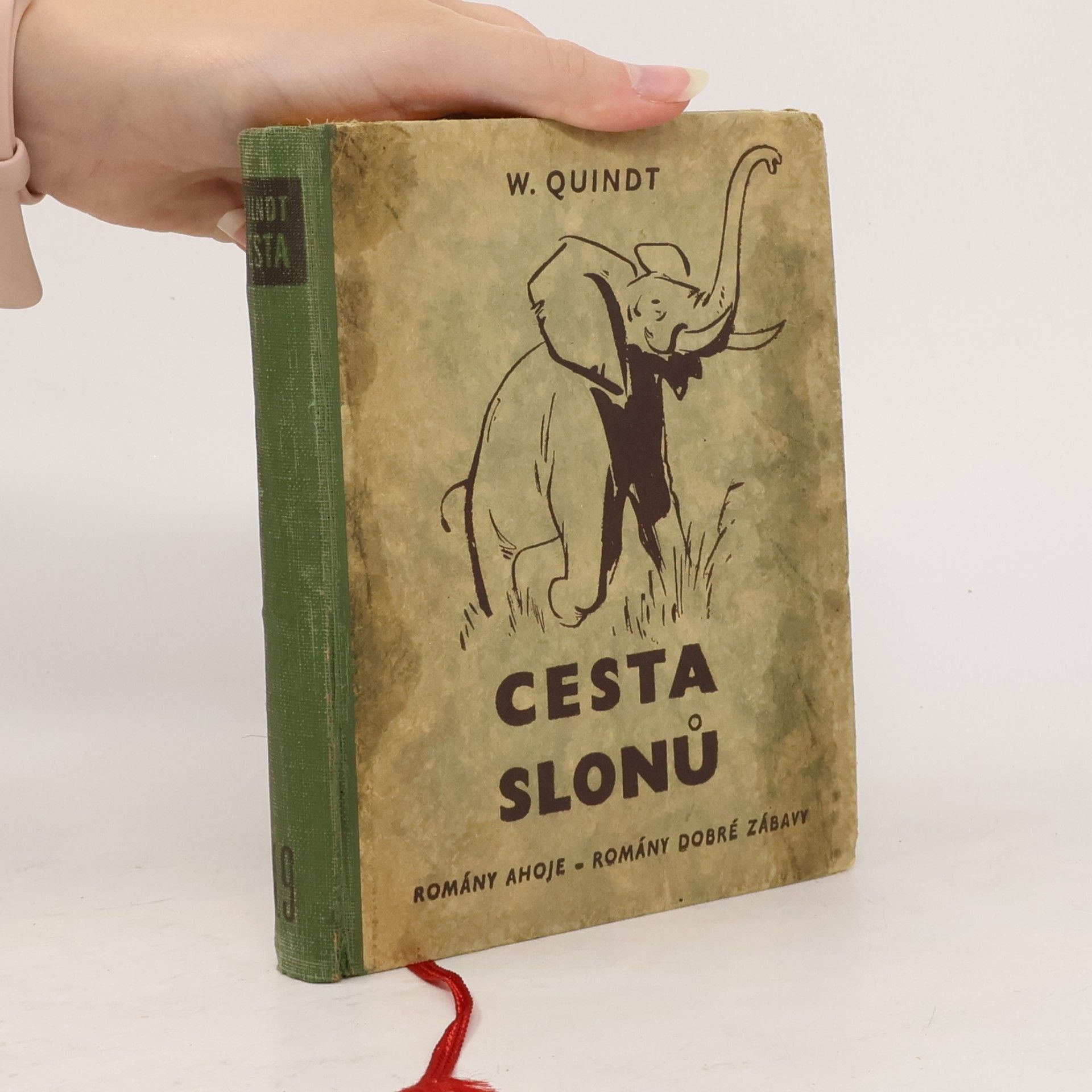 William Quindt Cesta slonů
