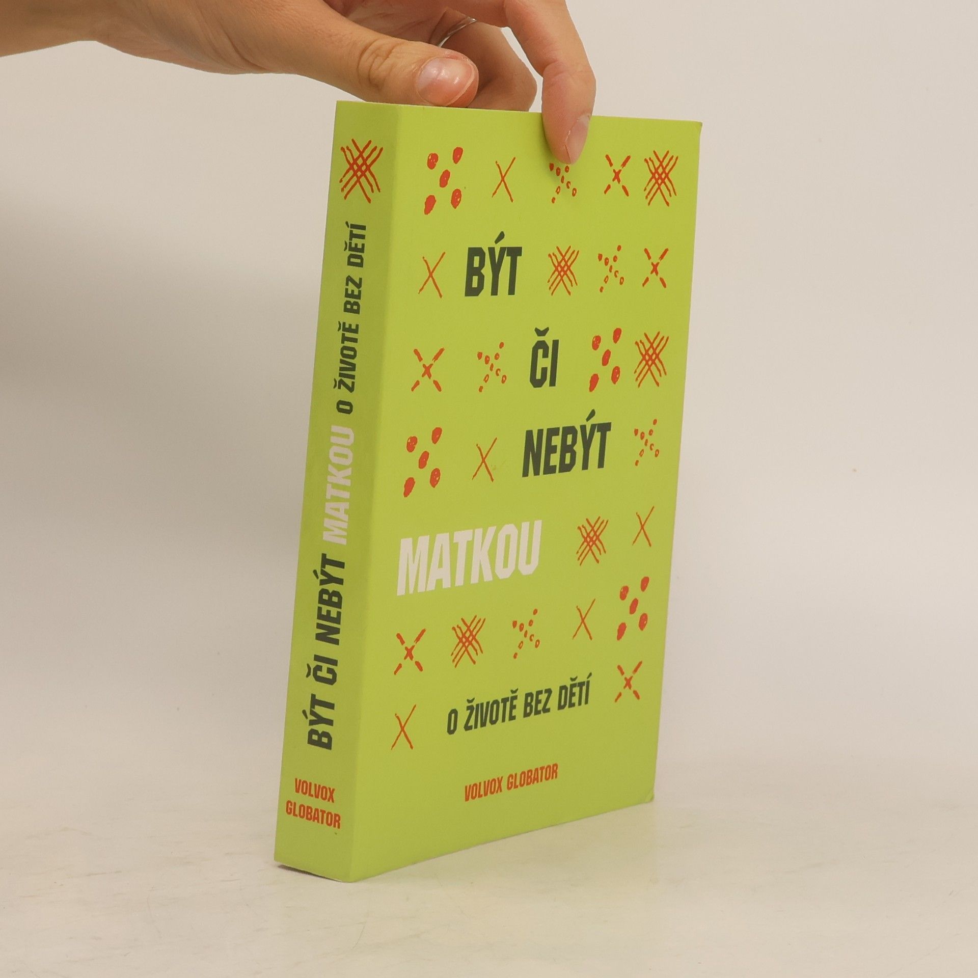 Collectif d'auteurs Být či nebýt matkou