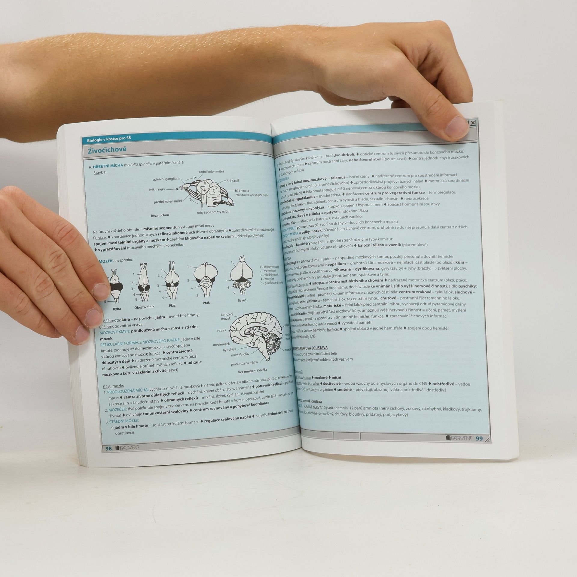 Hana Hančová Biologie v kostce : pro střední školy