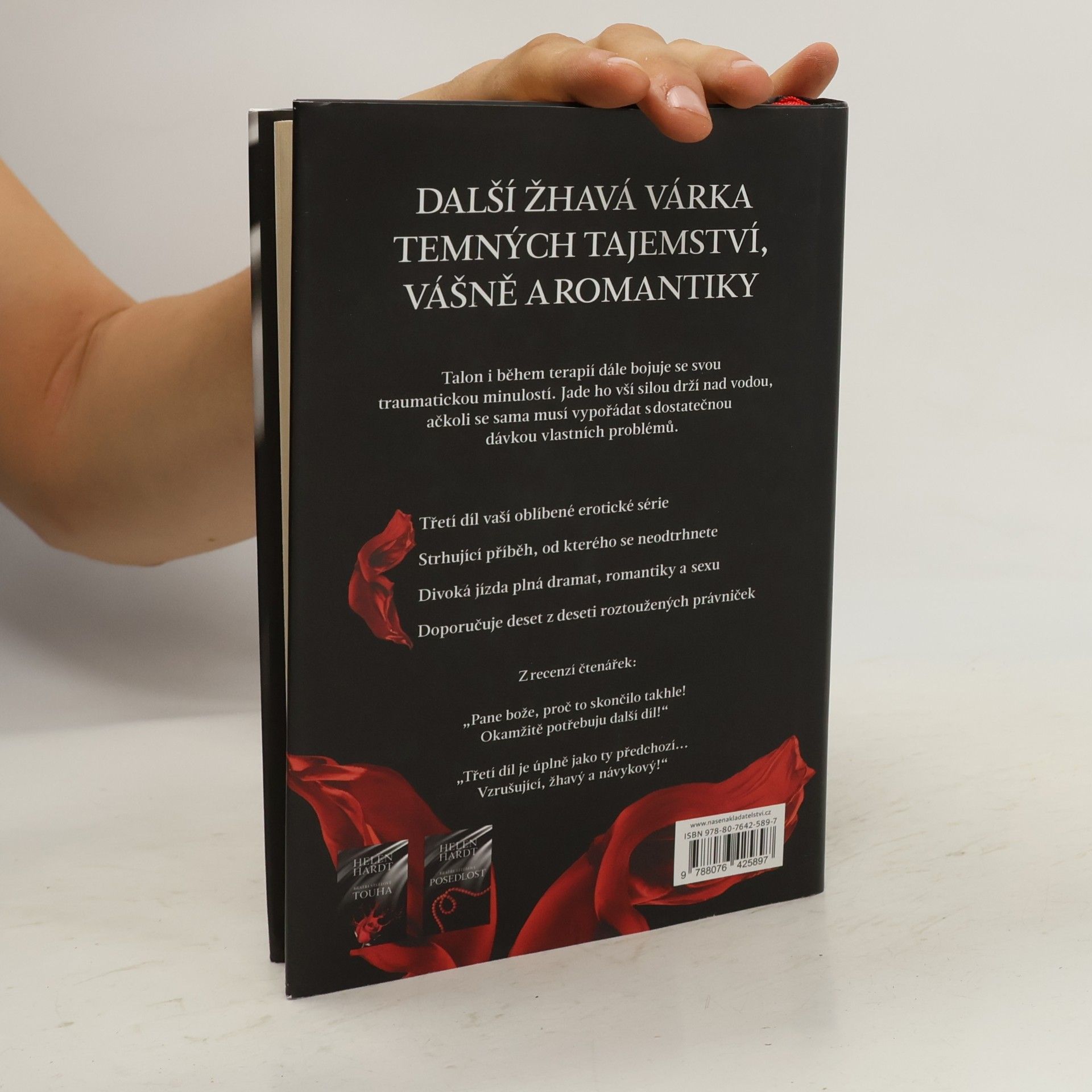 Helen Hardt Bratři Steelové. Oddanost