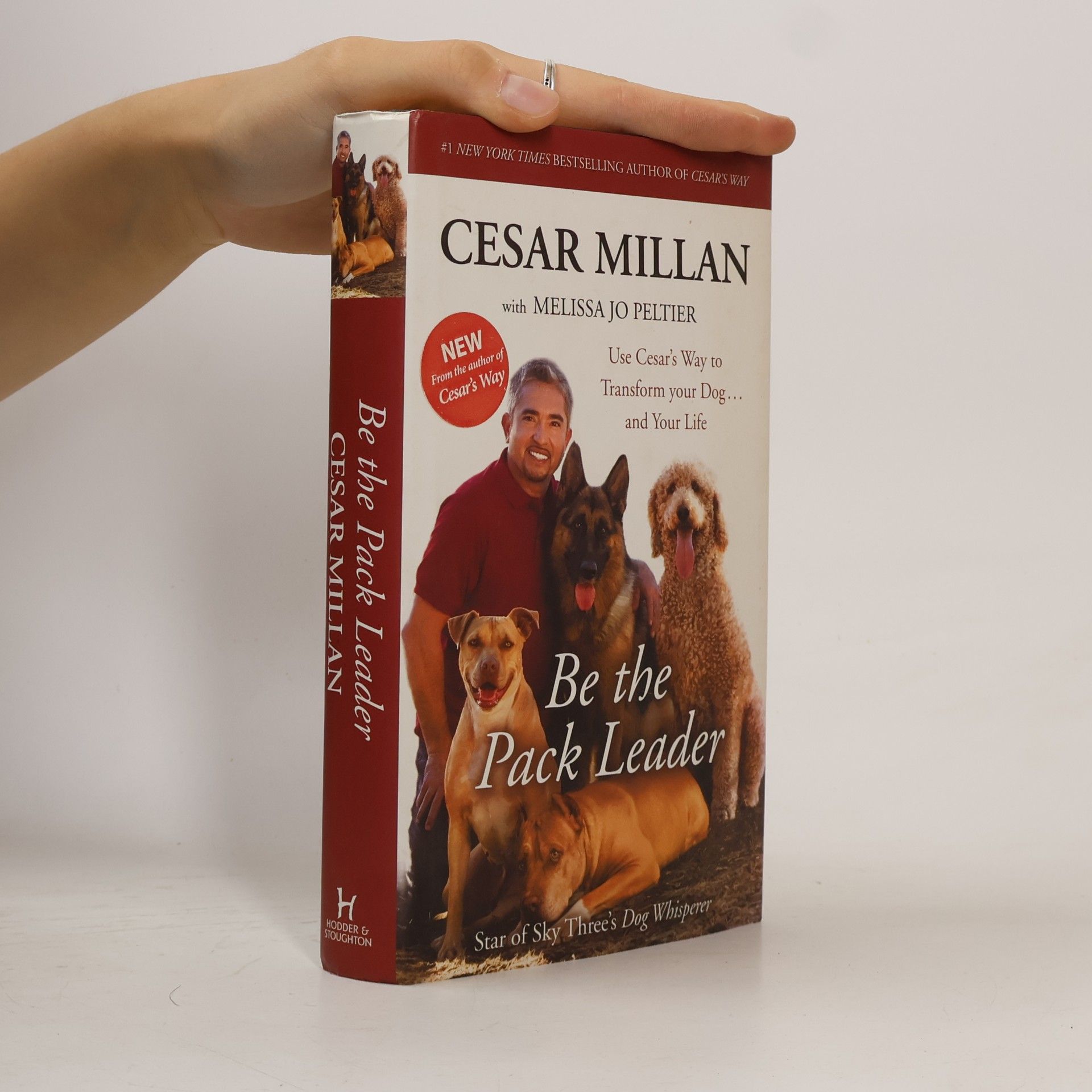 Cesar Millan Be the Pack Leader