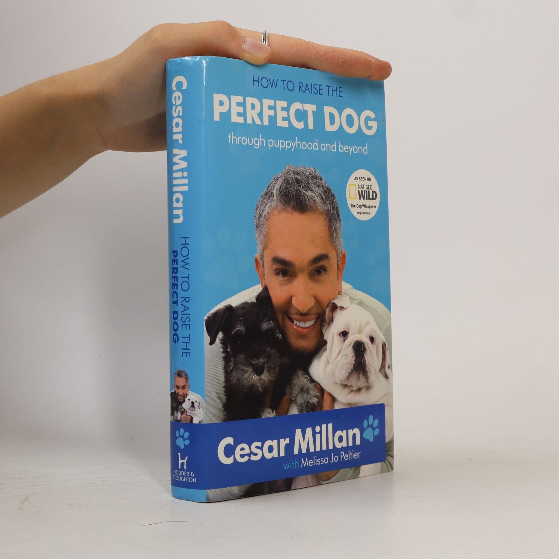 Melissa Jo Peltier How to Raise the Perfect Dog