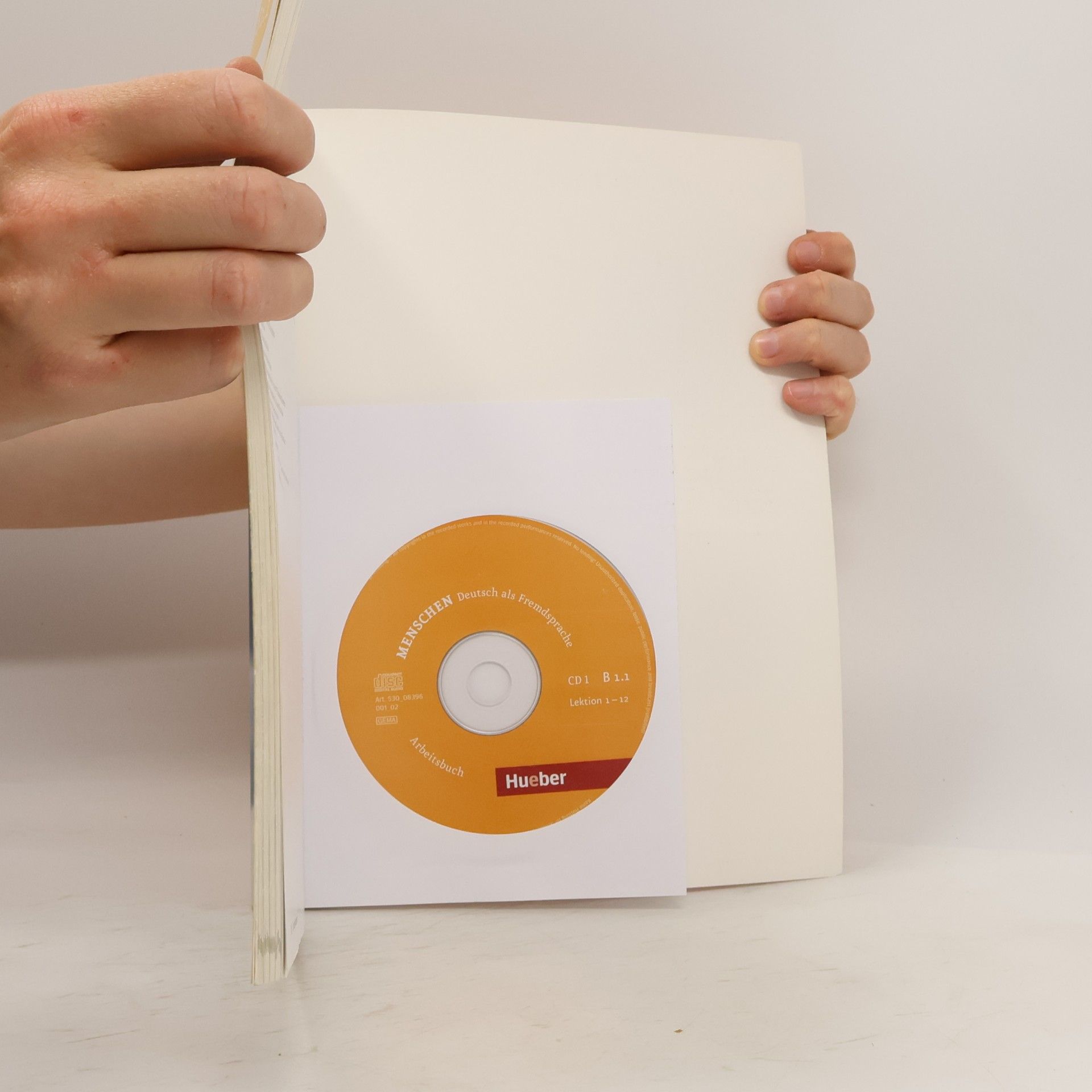 Anna Breitsameter Menschen B1.1 : Arbeitsbuch