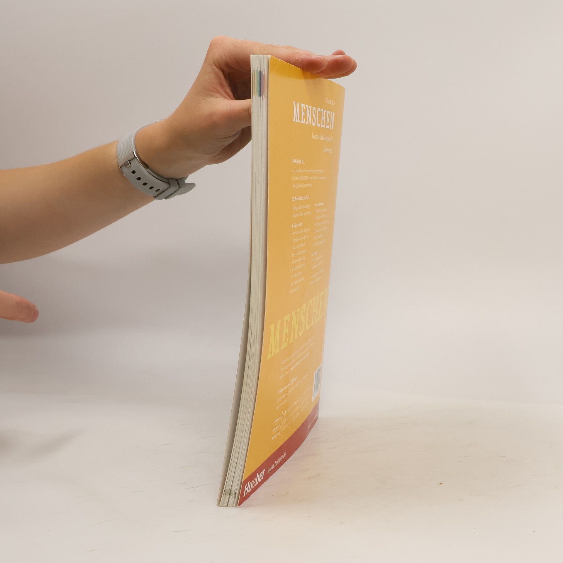 Anna Breitsameter Menschen B1.1 : Arbeitsbuch