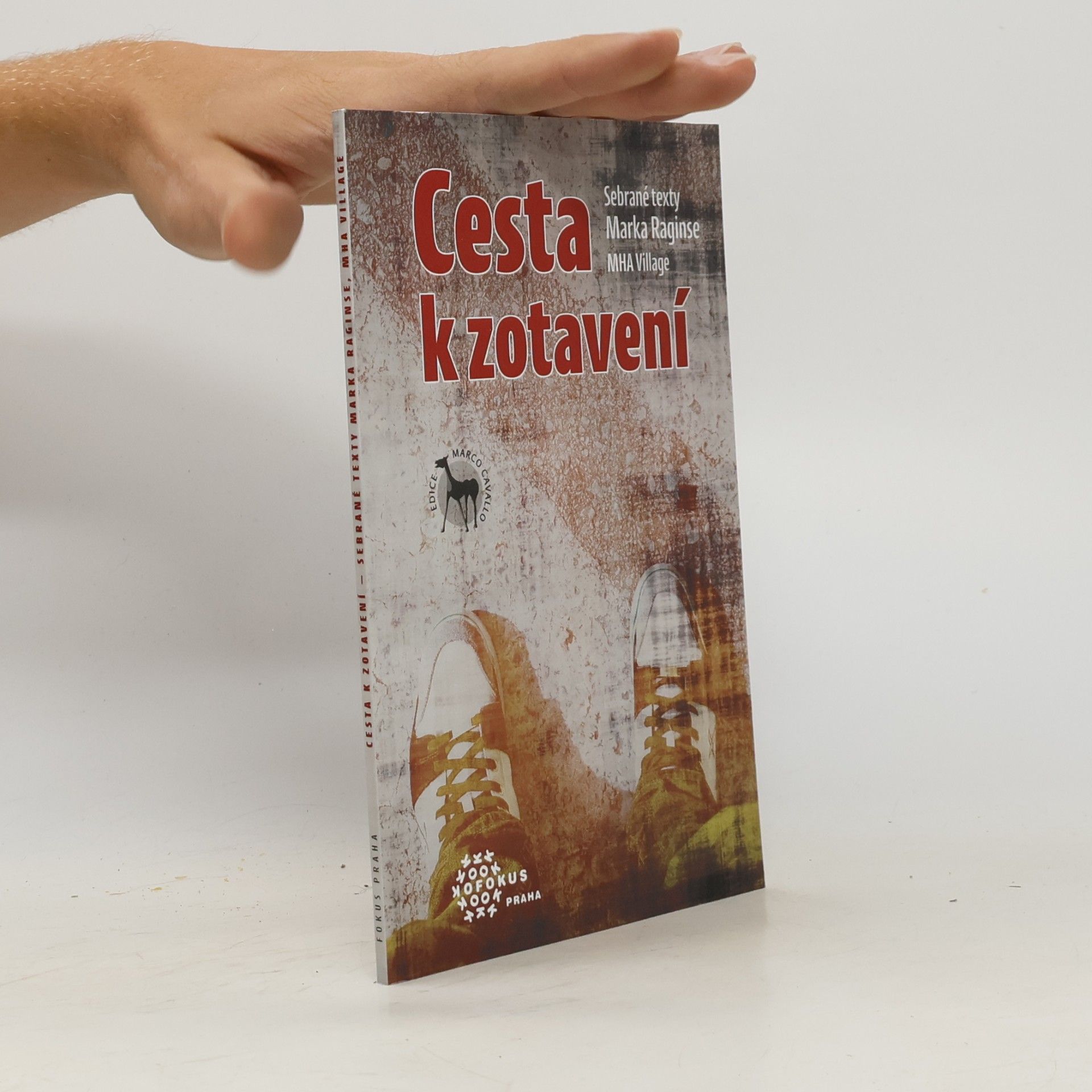 Mark Ragins Cesta k zotavení