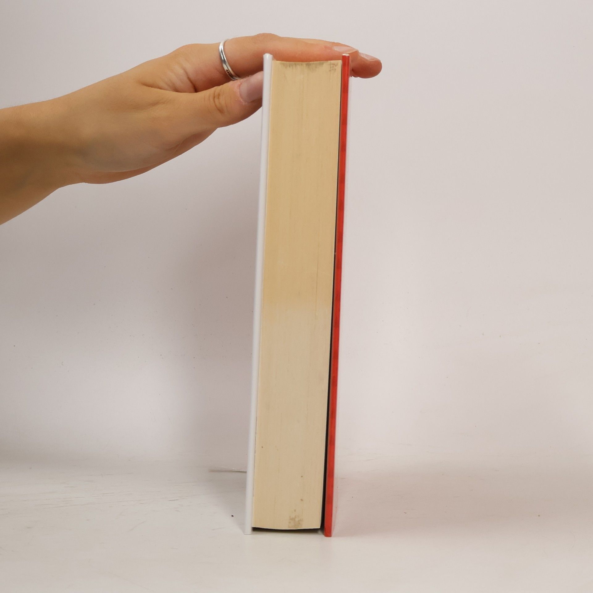 Sophie Kinsella Báječné nakupování o Vánocích