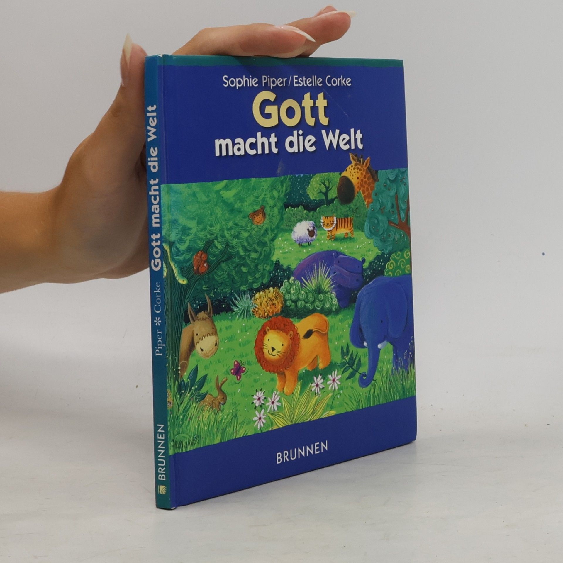 Irmtraut Fröse-Schreer Gott macht die Welt
