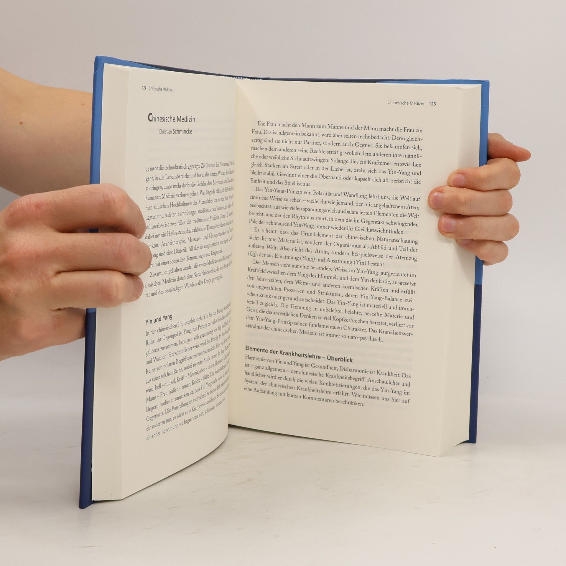 Ruediger Dahlke Das große Buch der ganzheitlichen Therapien