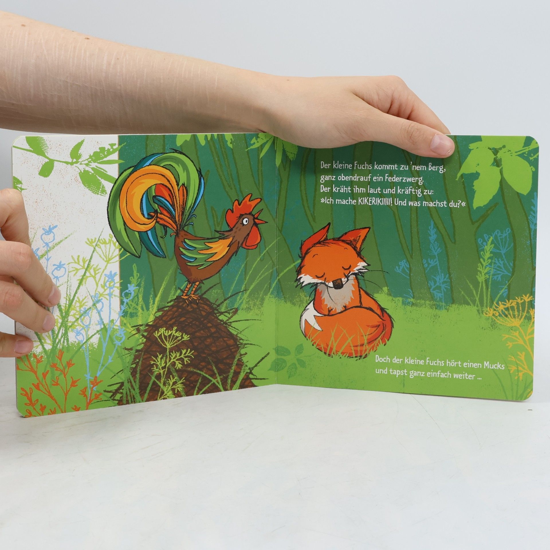 kolektiv Der kleine Fuchs hört einen Mucks