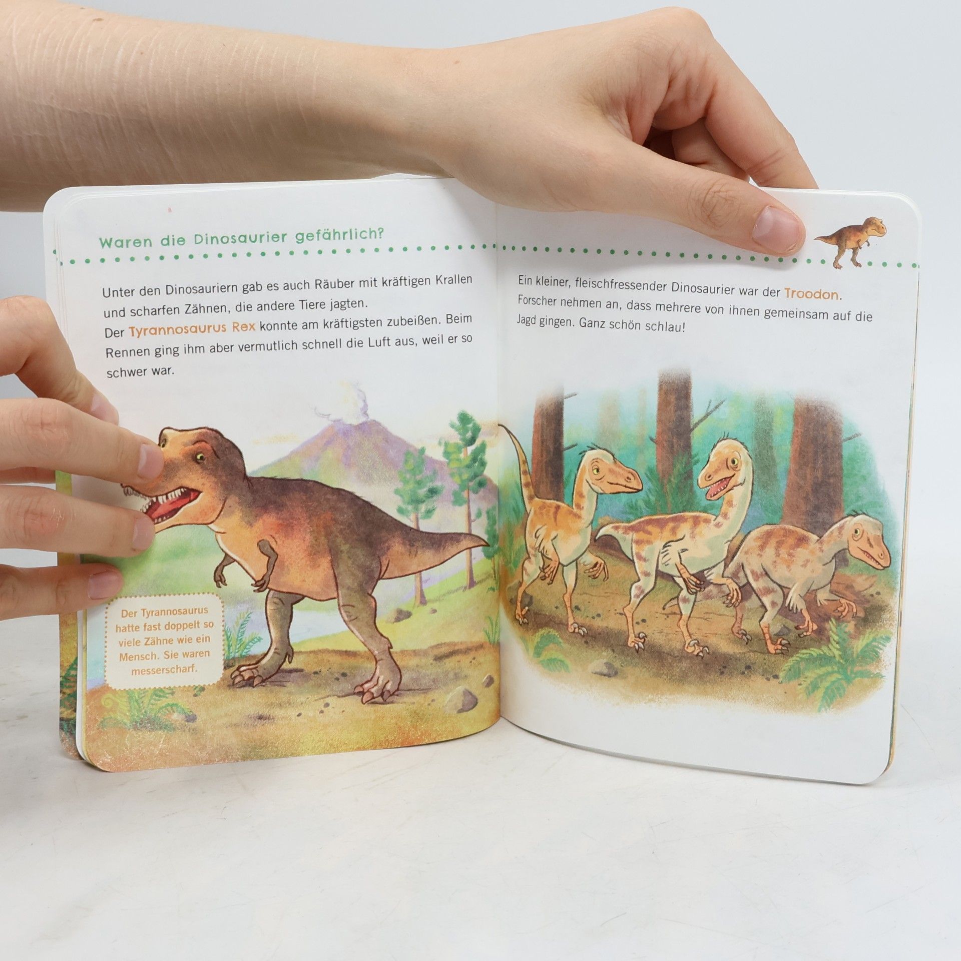 Petra Klose Unkaputtbar: Erstes Wissen: Dinosaurier