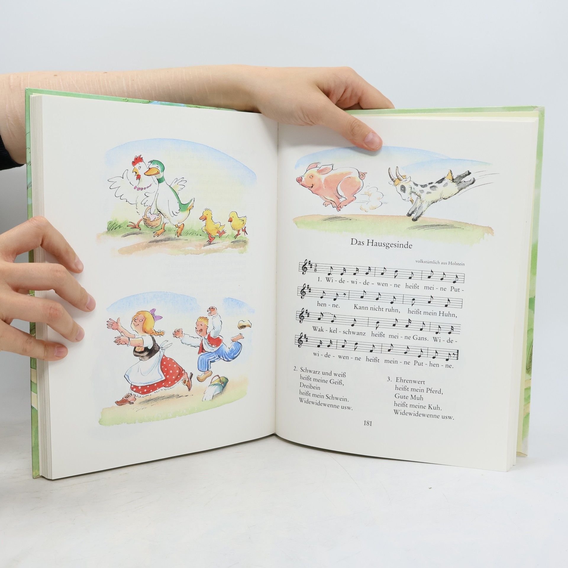 Autores varios Das grosse bunte Liederbuch