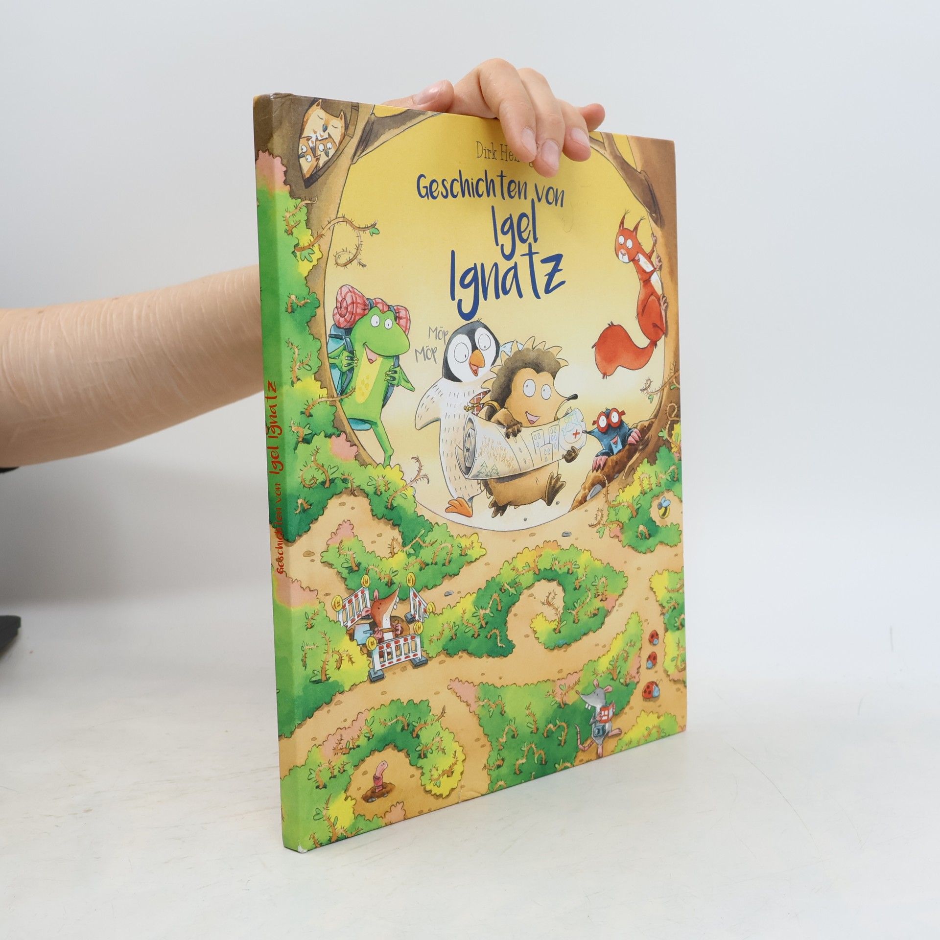 Dirk Hennig Gischisten von Igel Ignatz