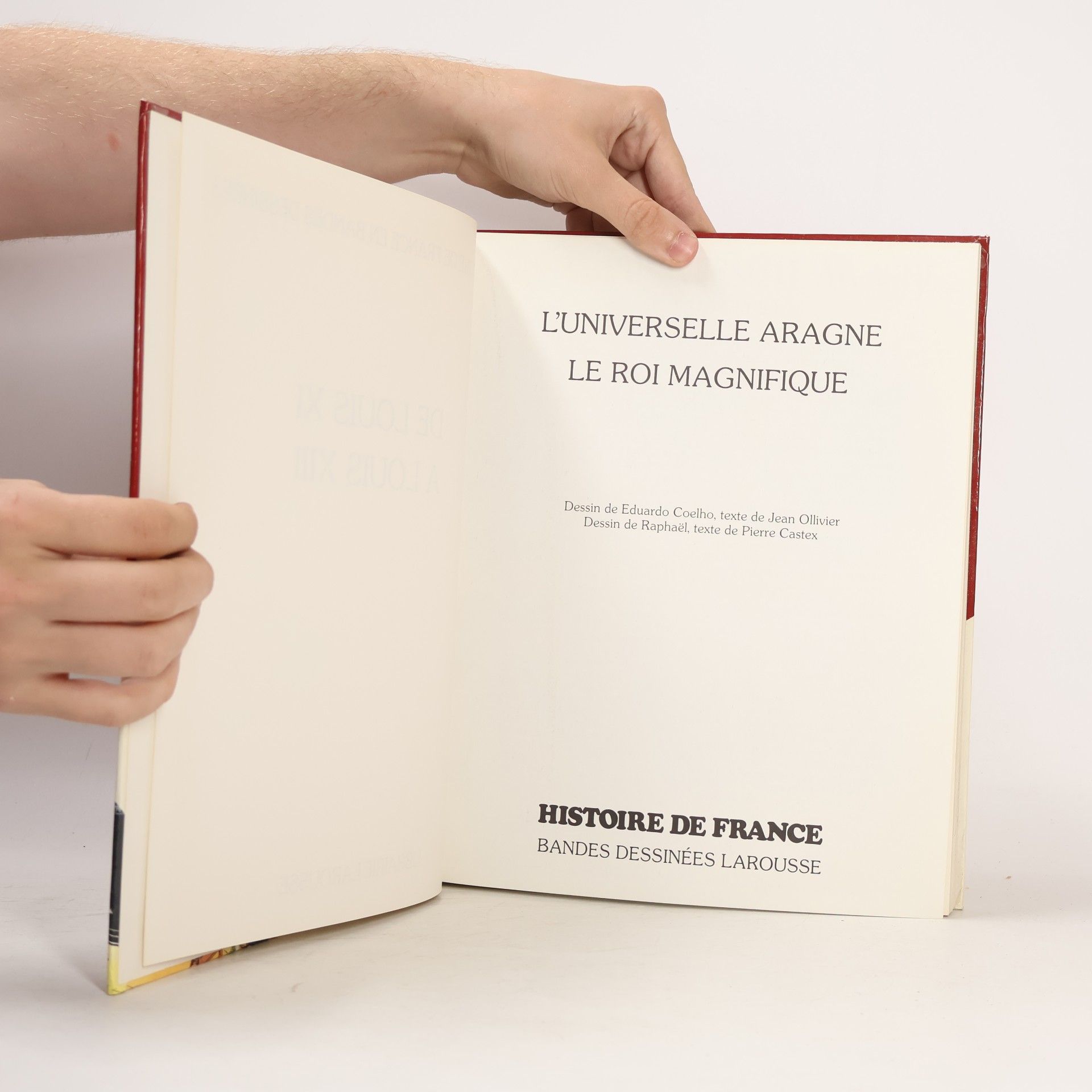 Histoire de France en bandes dessinées / de Louis XI à Louis XIII