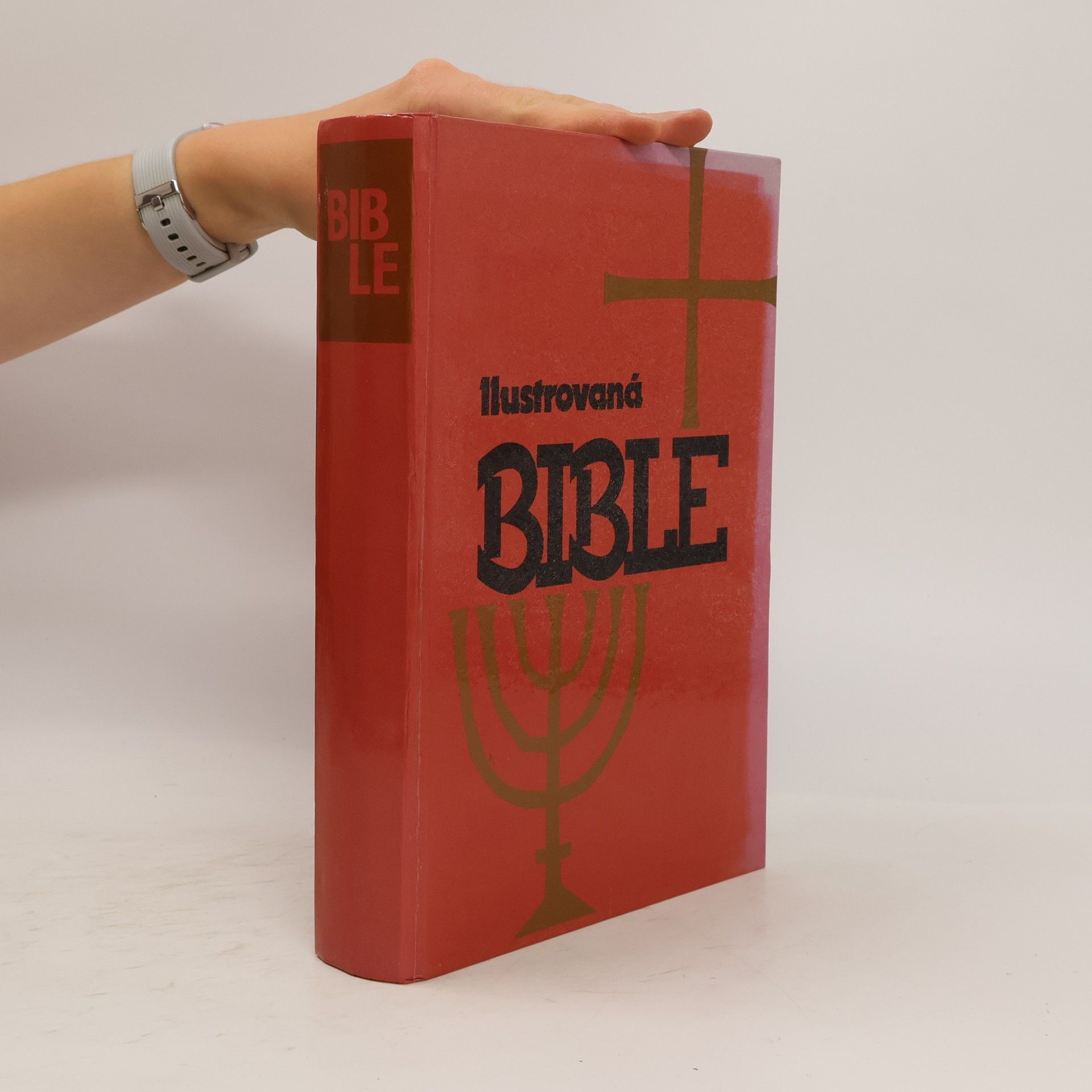 Samuel Terrien Ilustrovaná Bible pro mládež