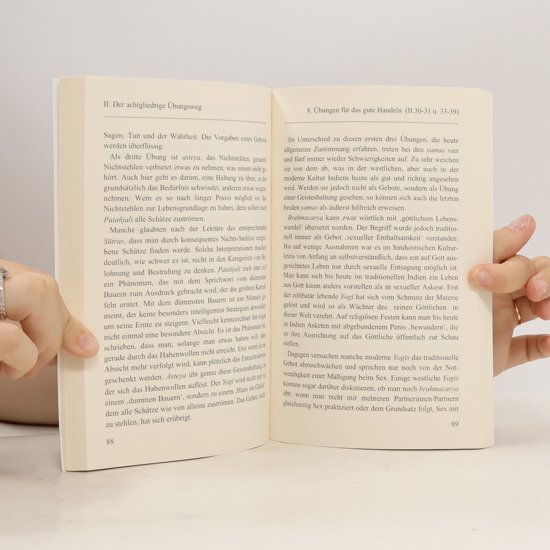 Eckard Wolz-Gottwald Die Yoga-Sutras im Alltag leben