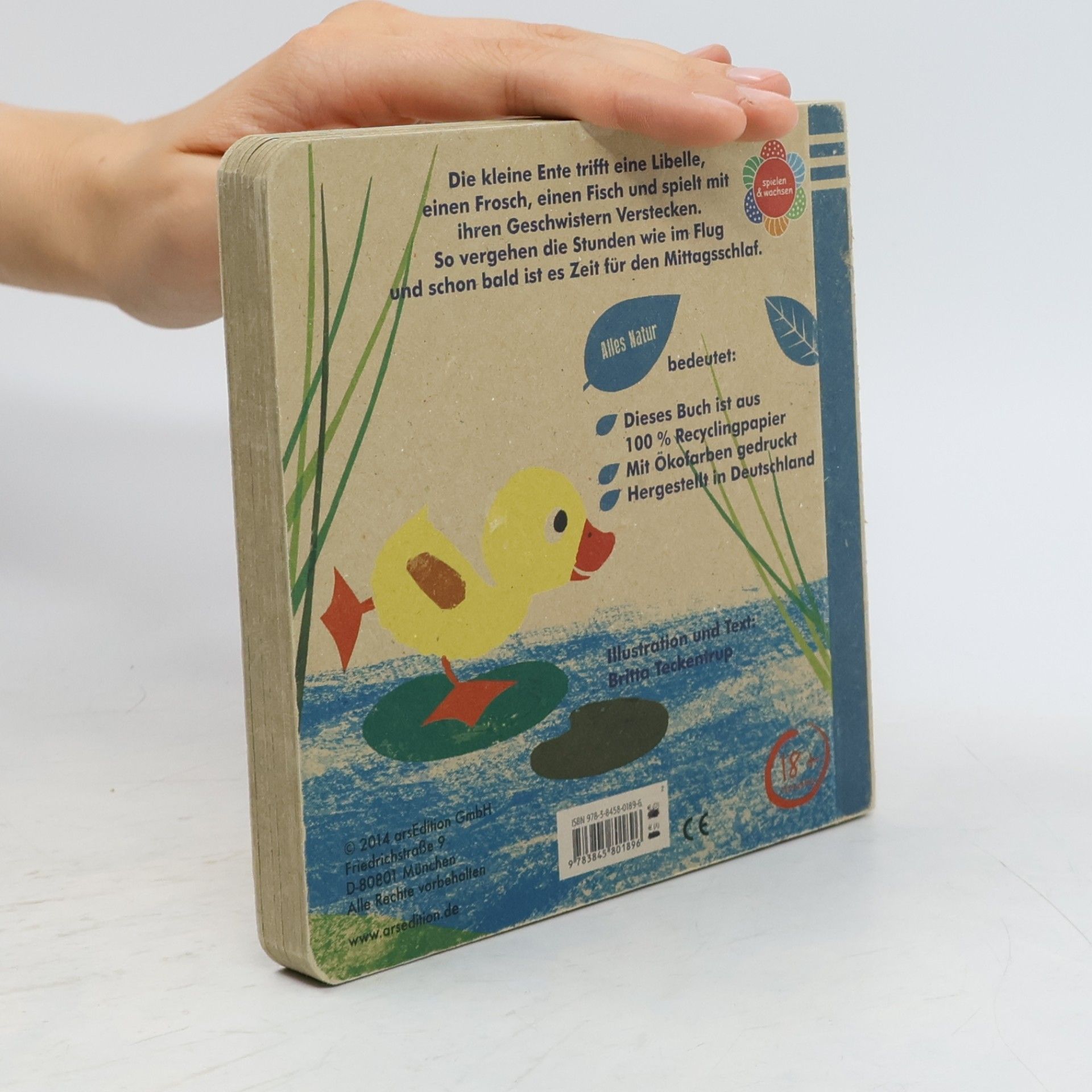 Britta Teckentrup Meine kleine Ente
