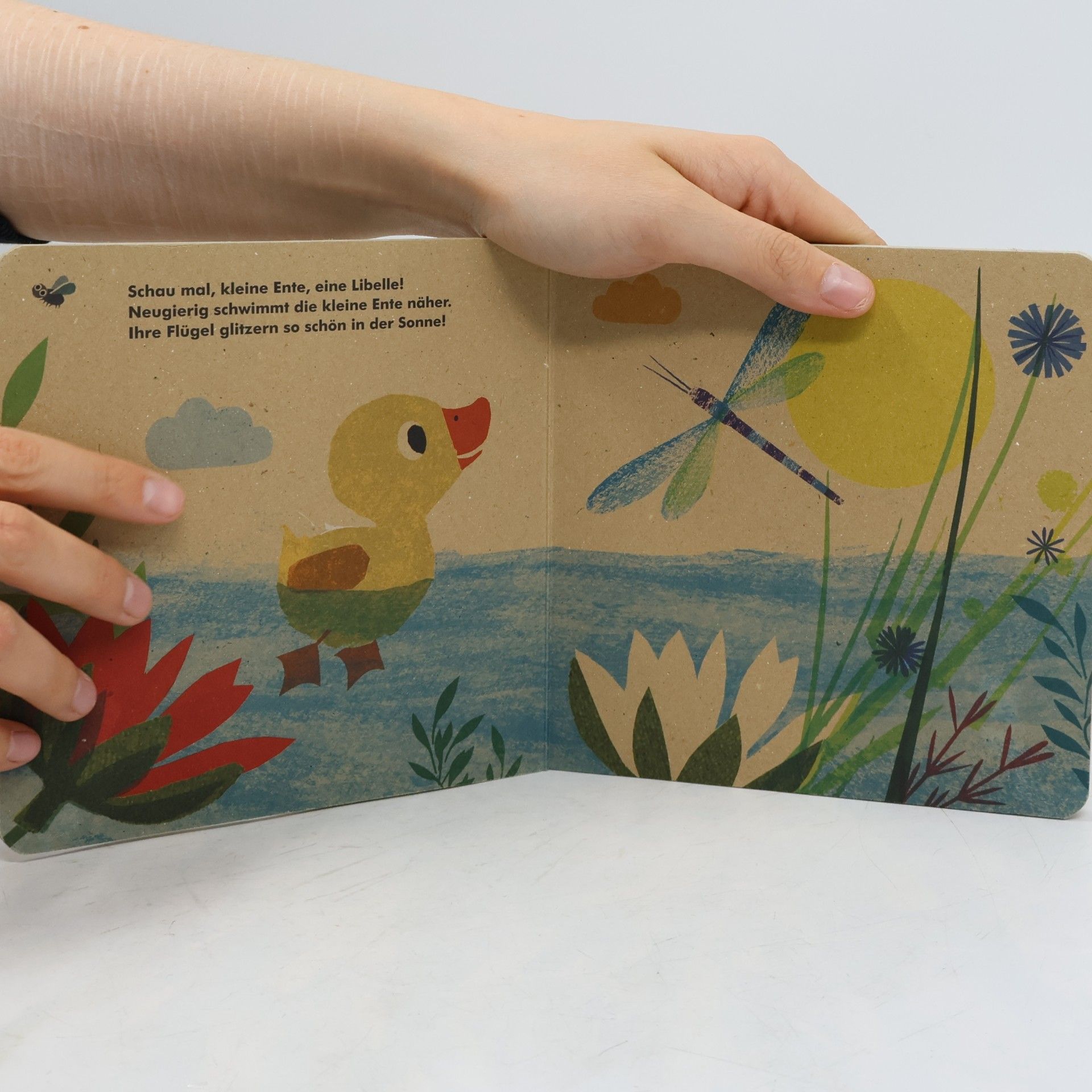 Britta Teckentrup Meine kleine Ente