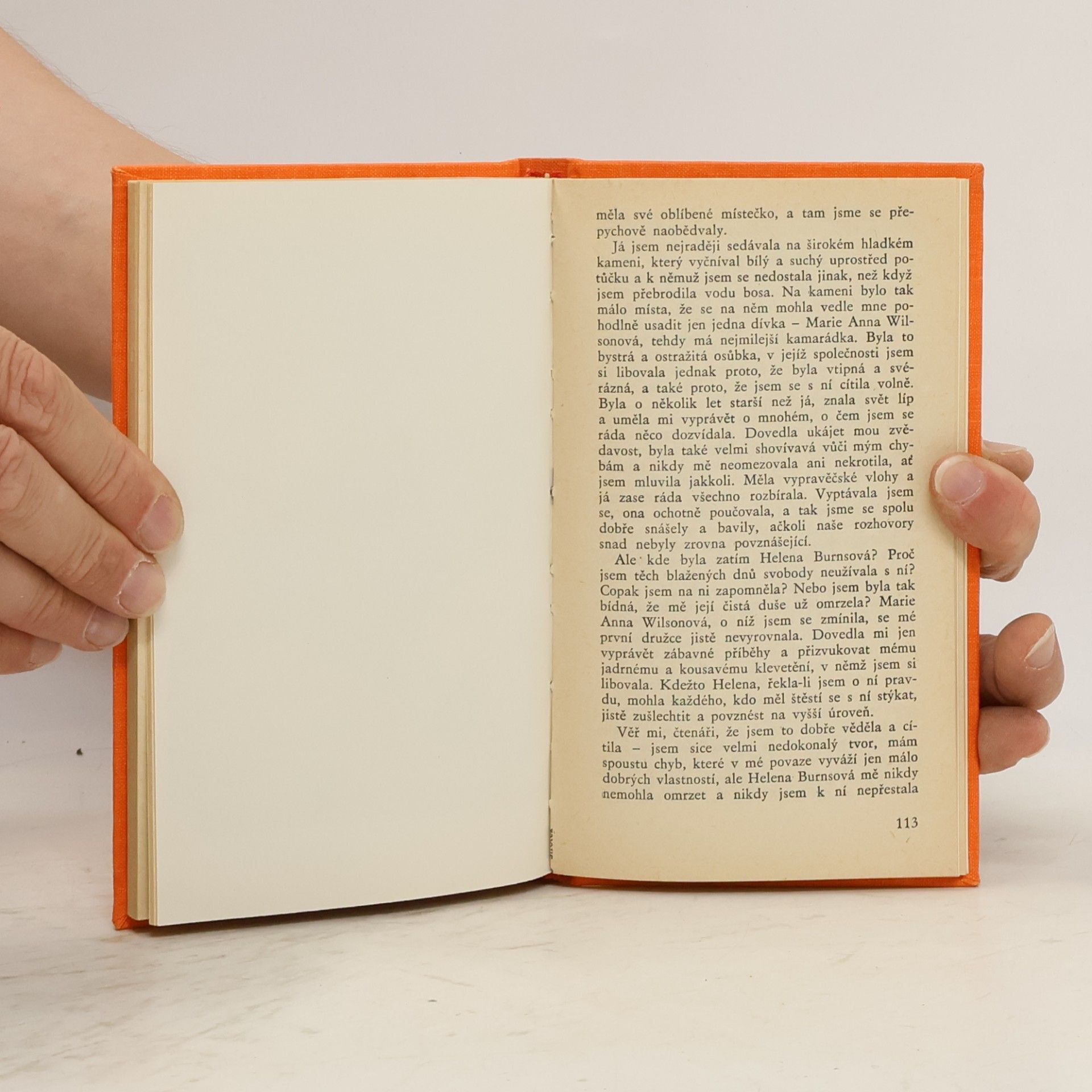 Charlotte Brontë Sirotek Lowoodský