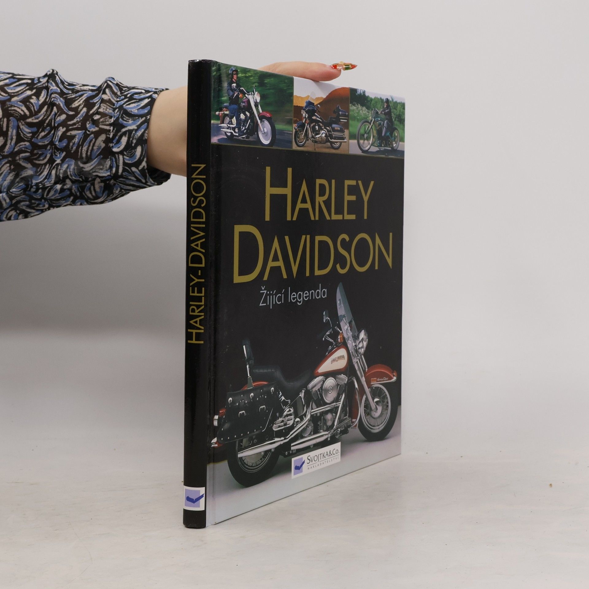 Johnny Leyla Žijící legenda. Dějiny značky Harley-Davidson