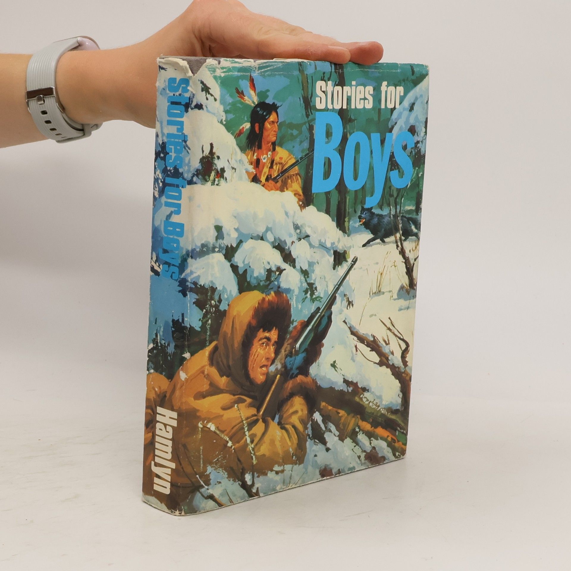 Kolektiv autorů Stories for Boys