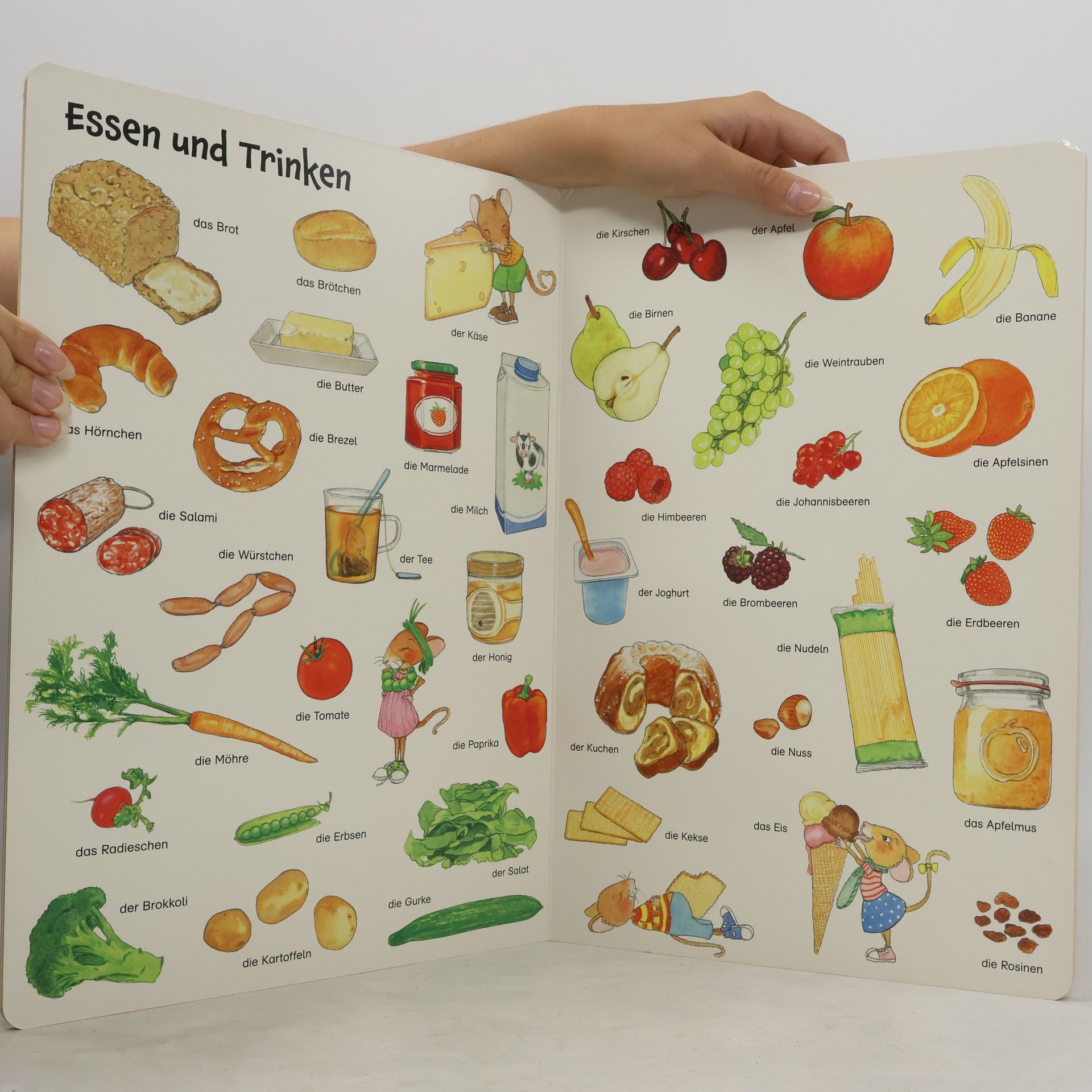 Kirsten Schlag Mein erstes großes Bildwörterbuch