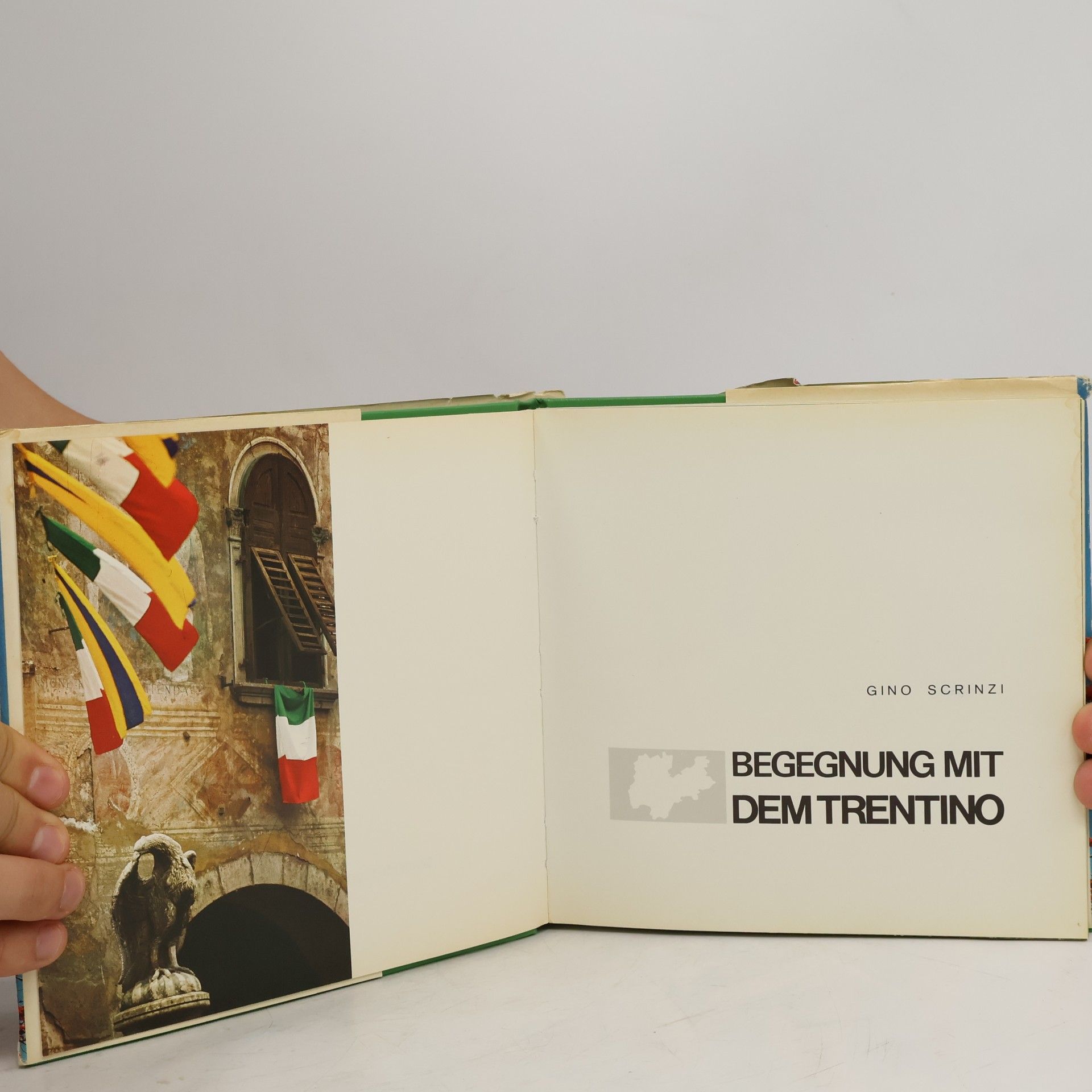 Gino Scrinzi Begegnung Mit dem Trentino