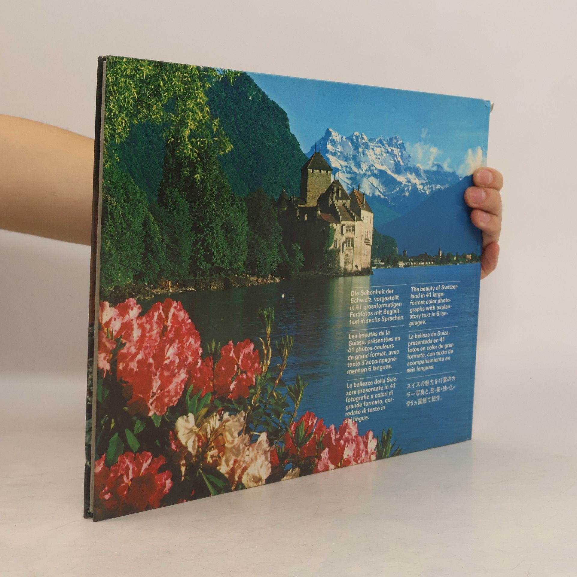 Autores varios Schweiz - Suisse - Svizzera - Switzerland - Suiza