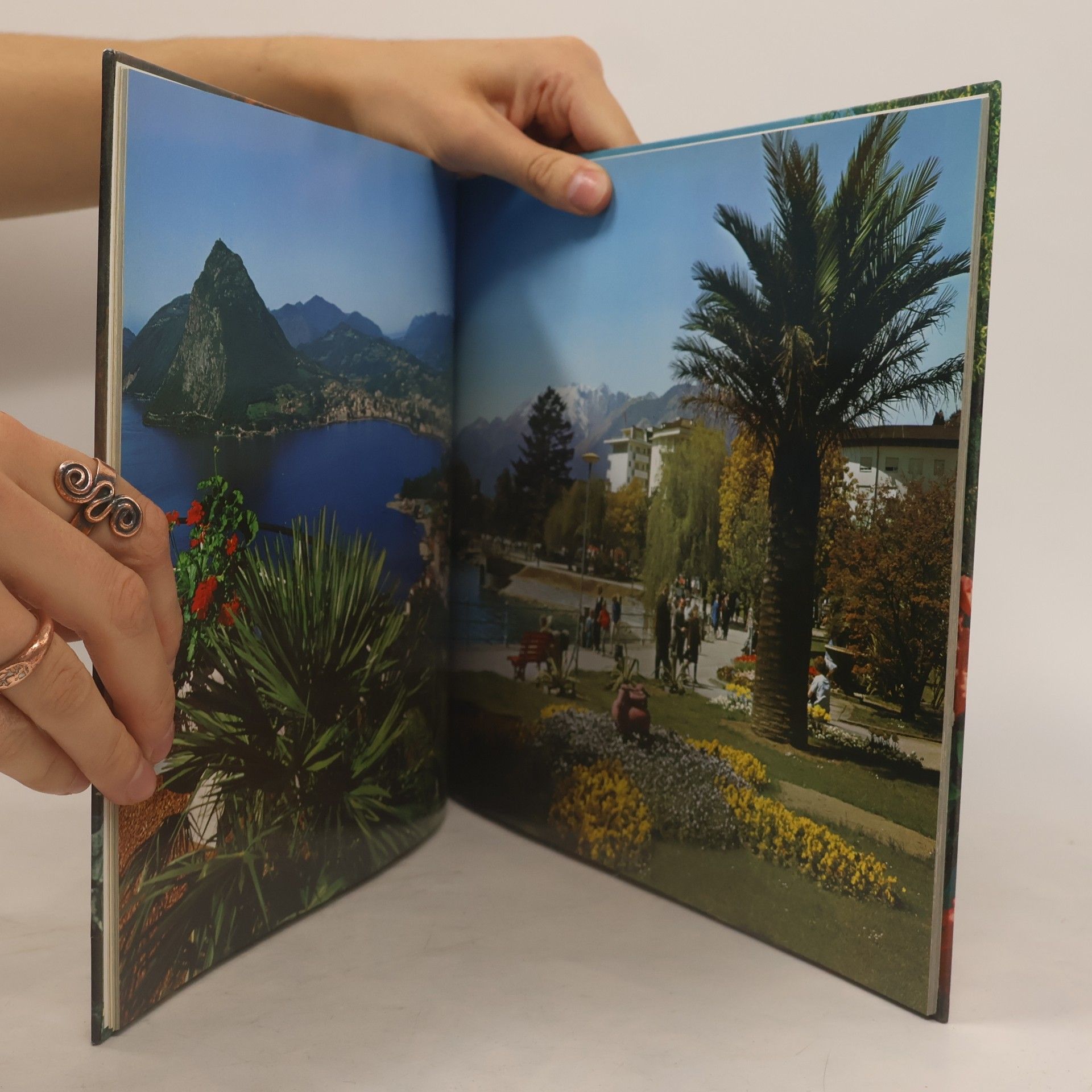 Autores varios Schweiz - Suisse - Svizzera - Switzerland - Suiza